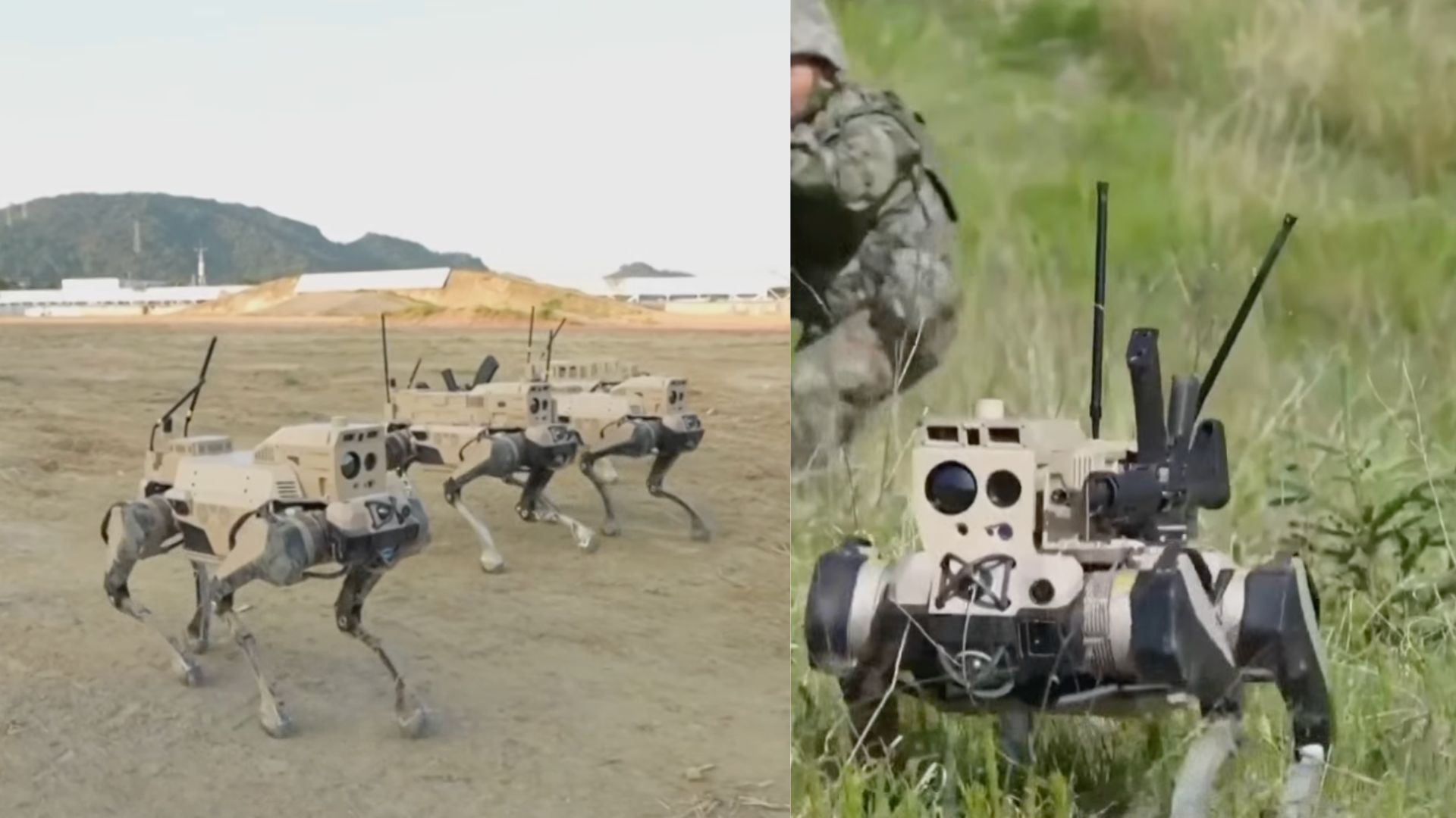 Trung Quốc thử nghiệm ‘robot sói’ để phá hủy phòng thủ Đài Loan trong 10 giây