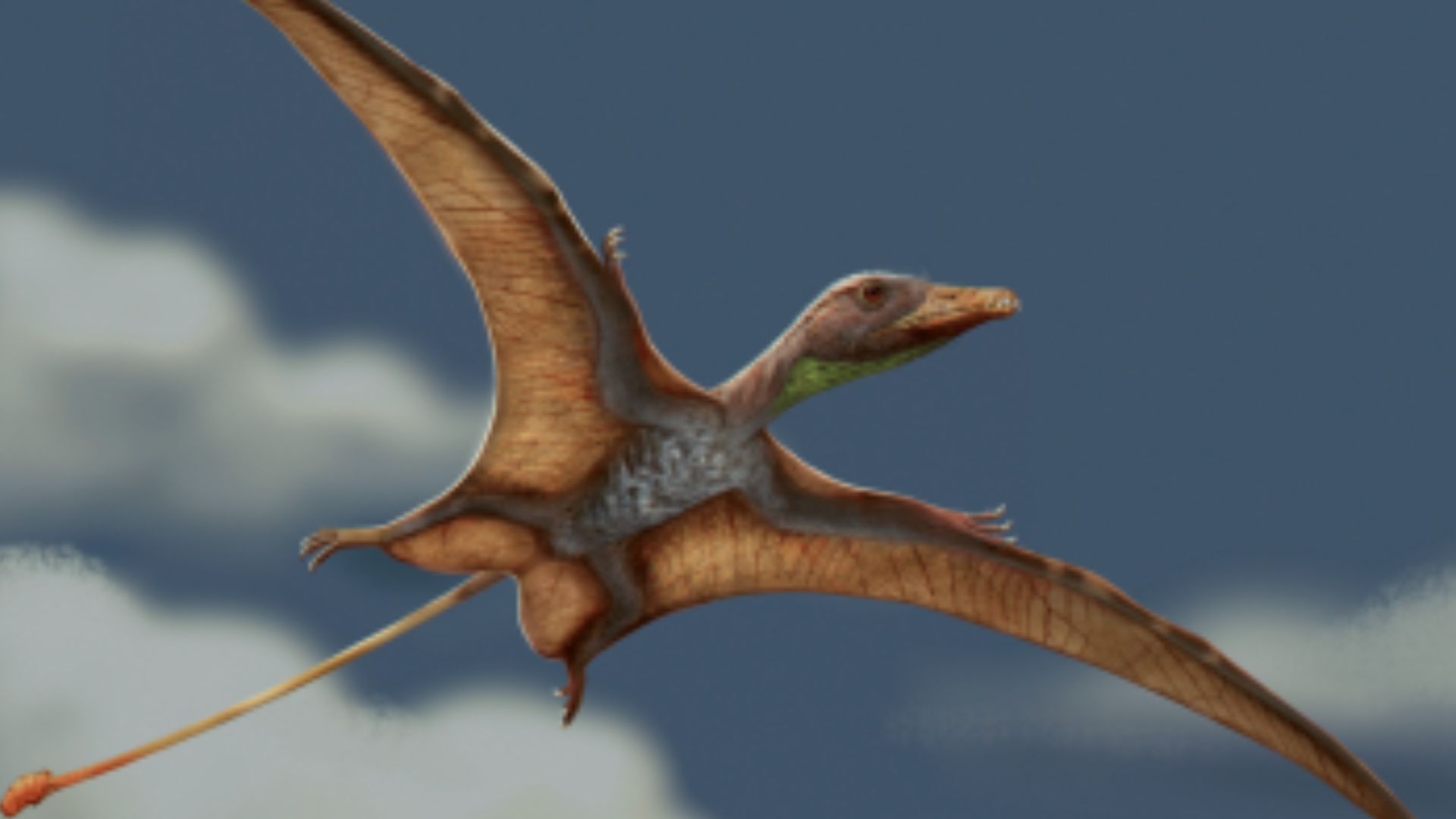 Fossil brains reveal pterosaurs evolved their own 'flight computers"