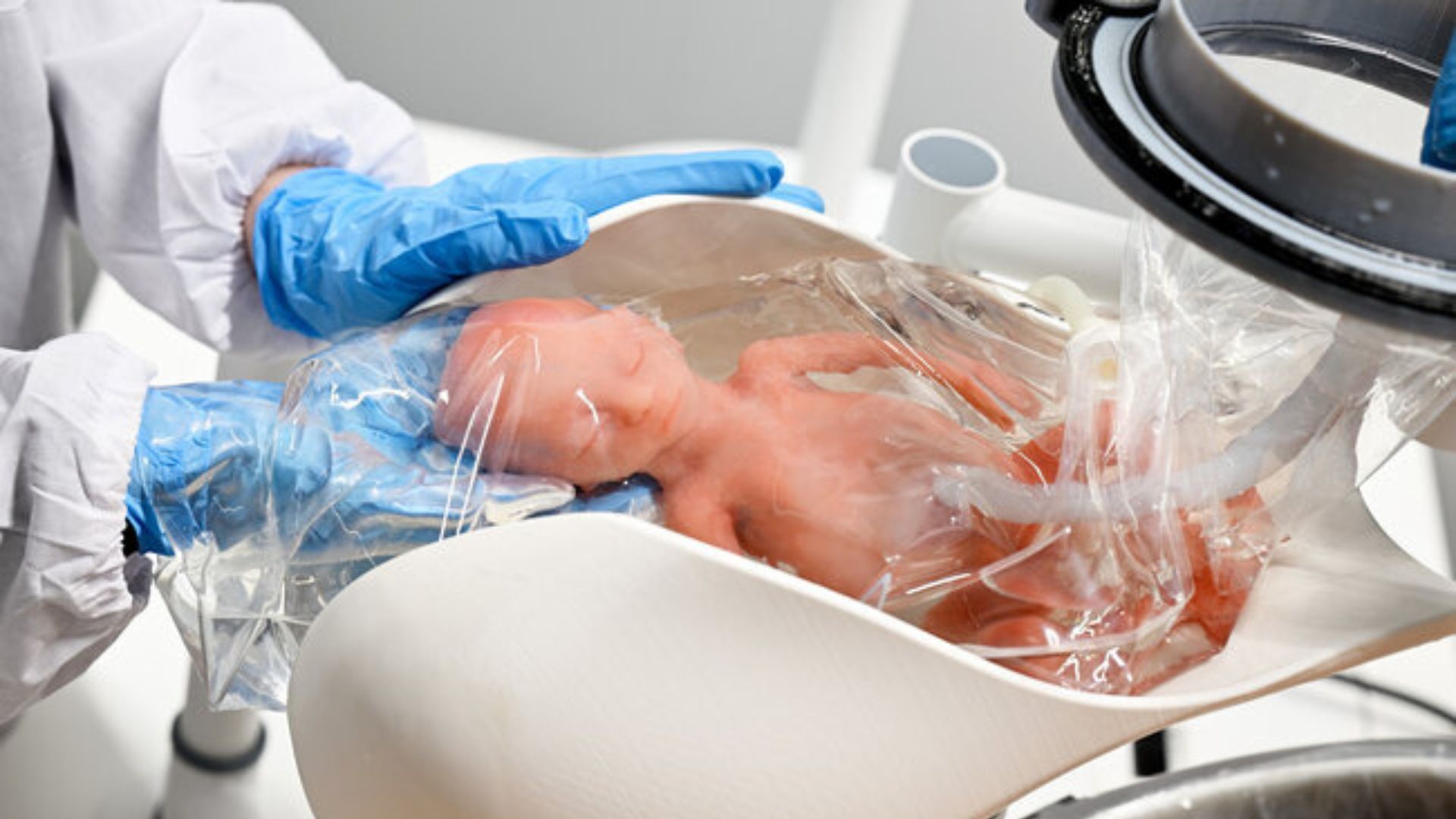 Dutch startup develops artificial womb to save babies born too early to survive 