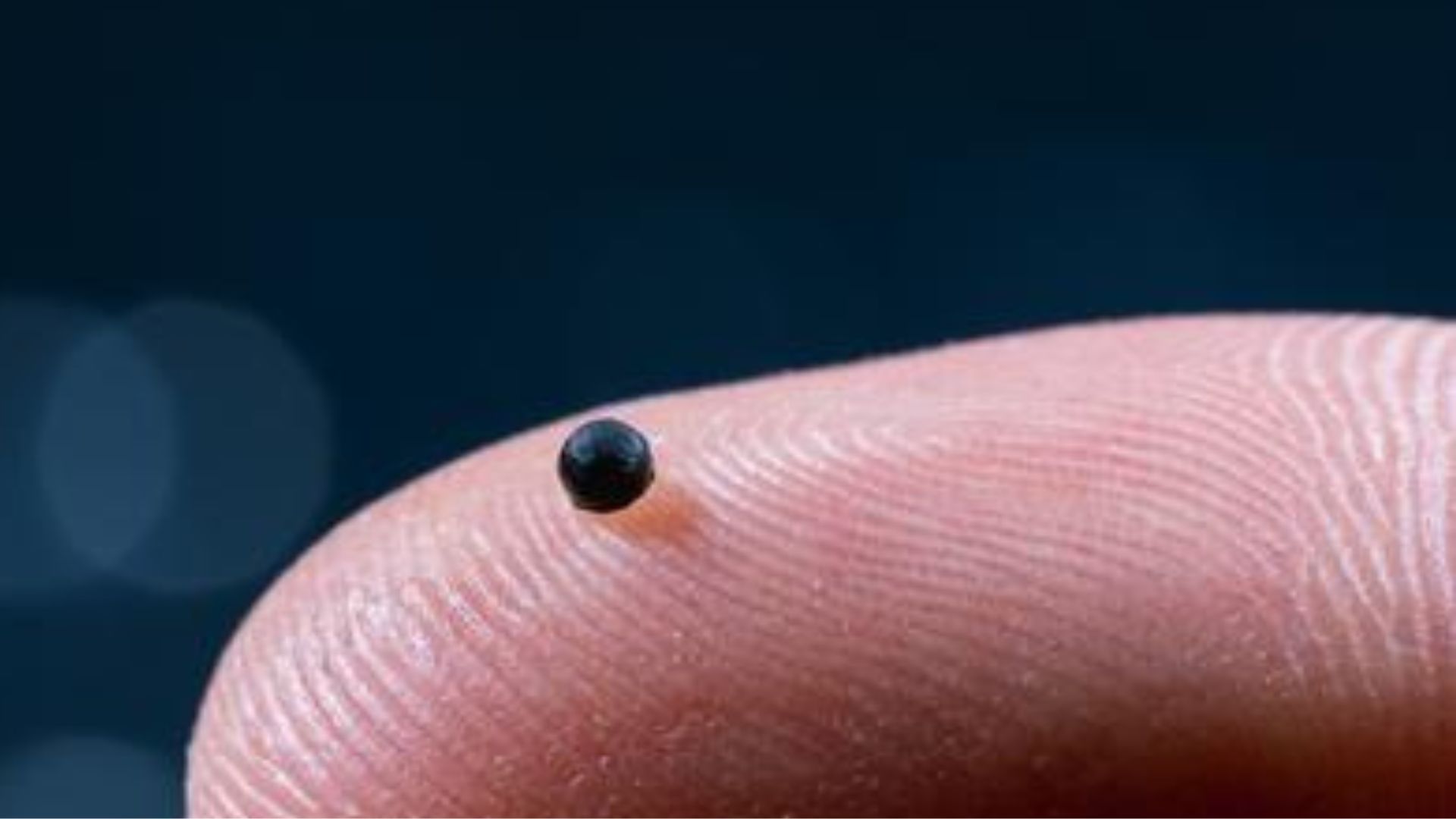 Những robot nhỏ từ tính vận chuyển thuốc trực tiếp đến cục máu đông để chống đột quỵ