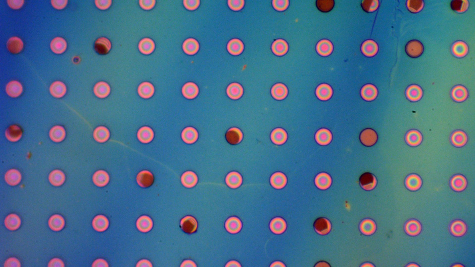 Màng polymer chống thấm khí có thể bảo vệ pin mặt trời khỏi sự ăn mòn