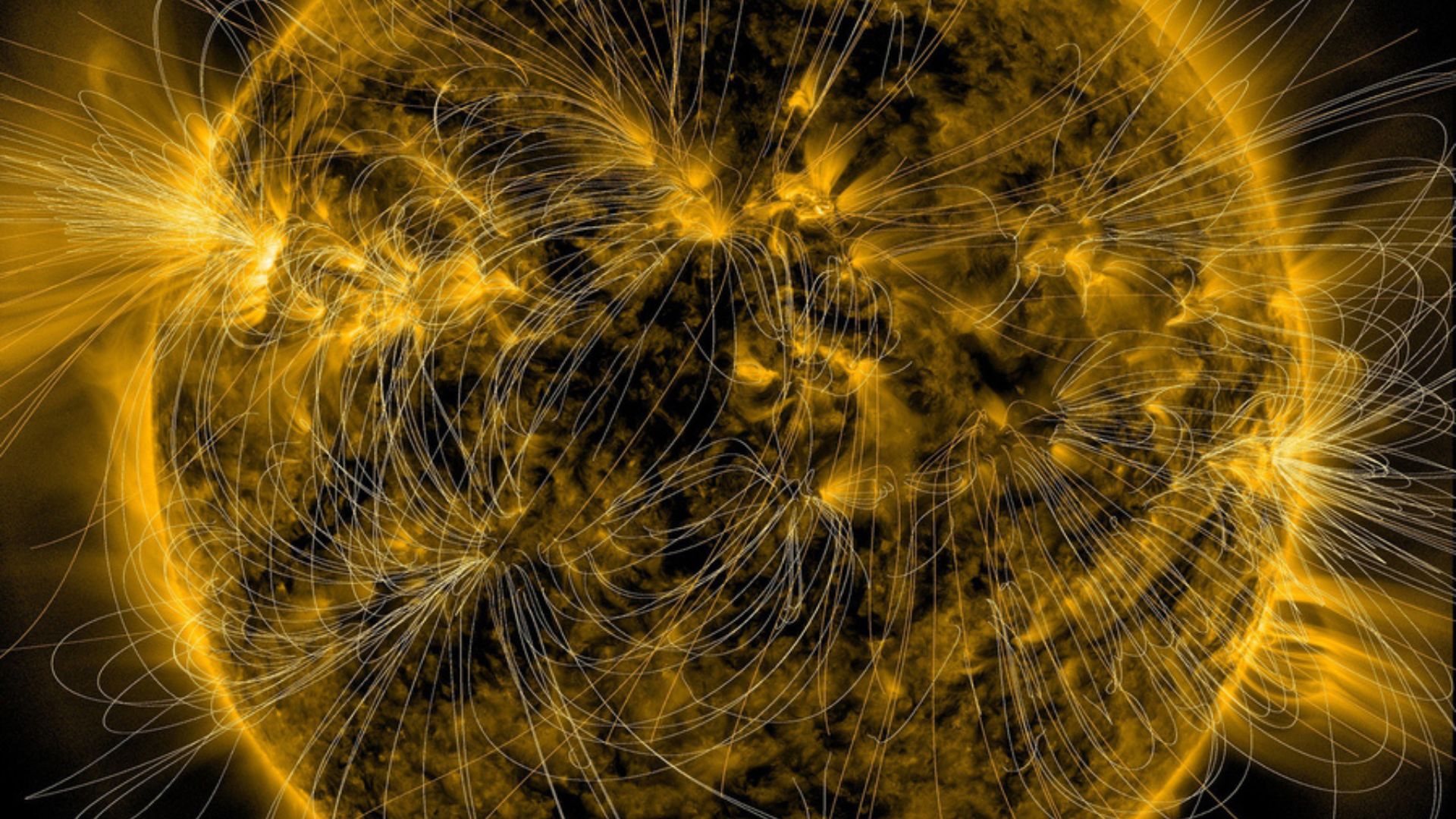 Solar Orbiter gives first close look at the Sun’s magnetic poles