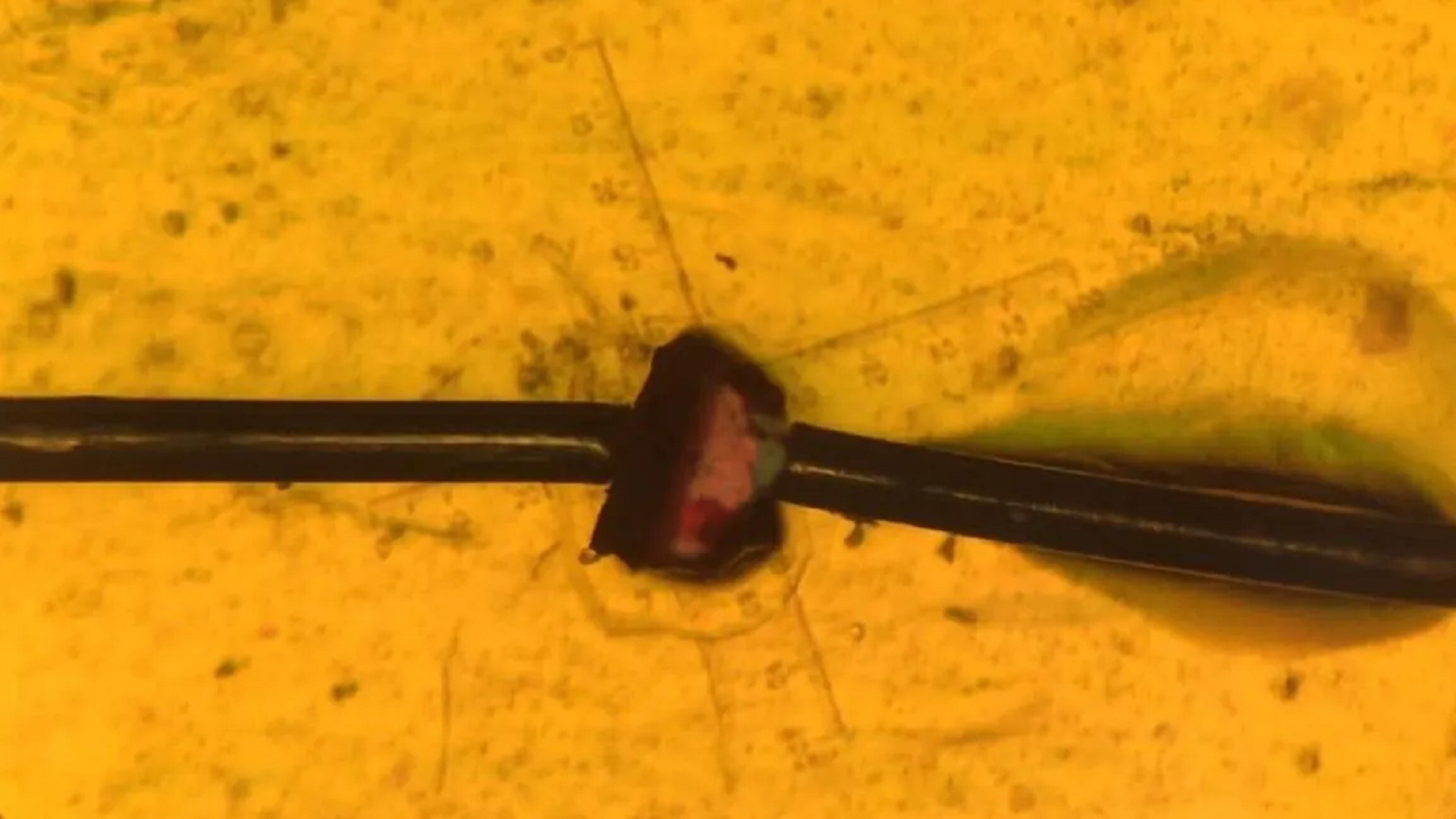 Vật liệu lai không chì biến chuyển động thành điện tích mạnh mẽ