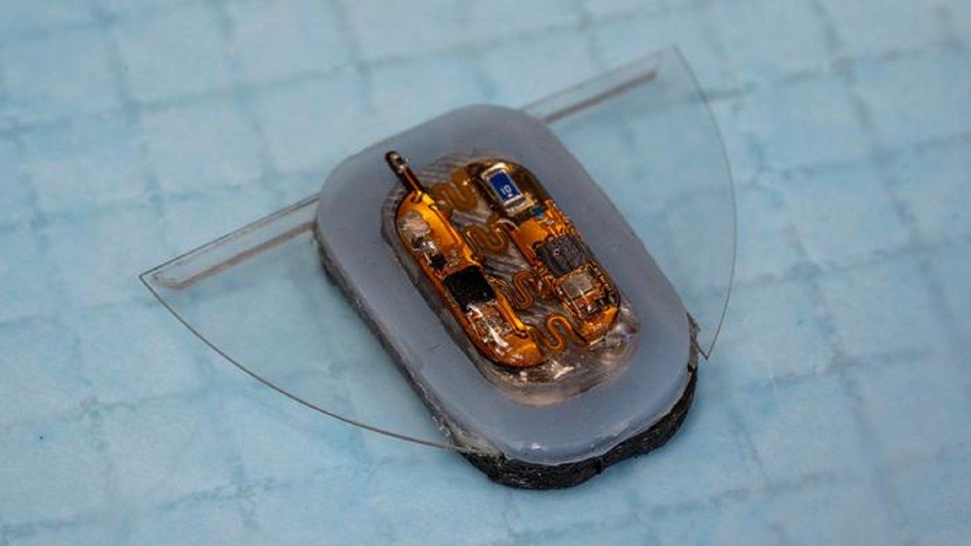 Robot mềm cá đuối sử dụng trường từ để bơi tự động