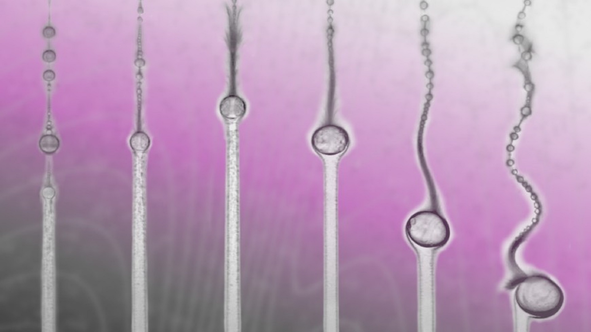 World first as tiny oil droplets defy physics while hovering and moving upstream