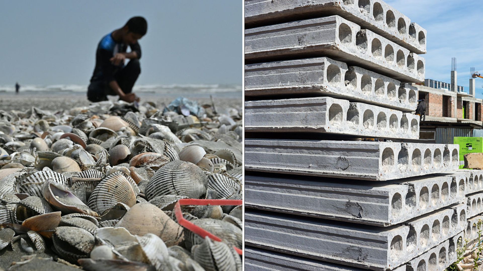 Discarded seashells turned into low-carbon concrete mix ingredient