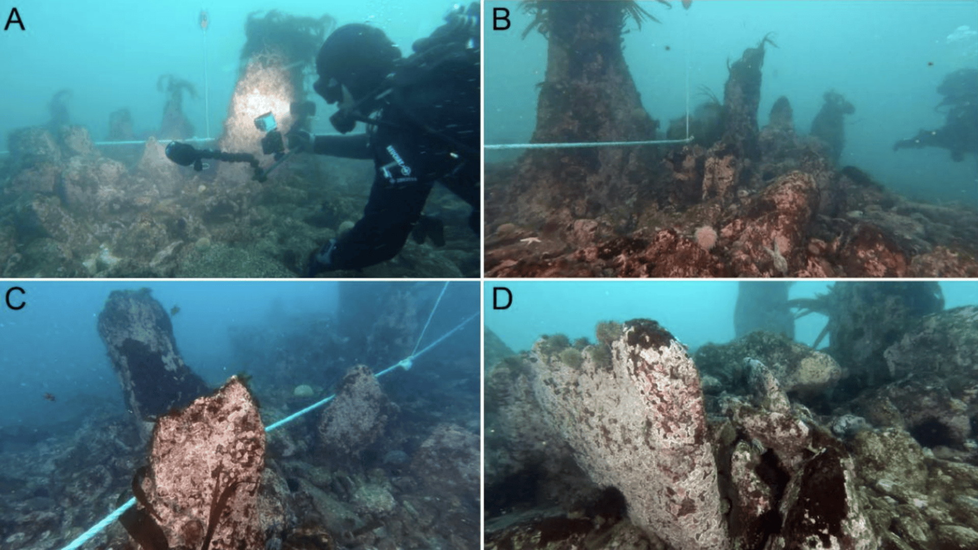 7,000-year-old walls discovered off French coast reveal sophisticated society