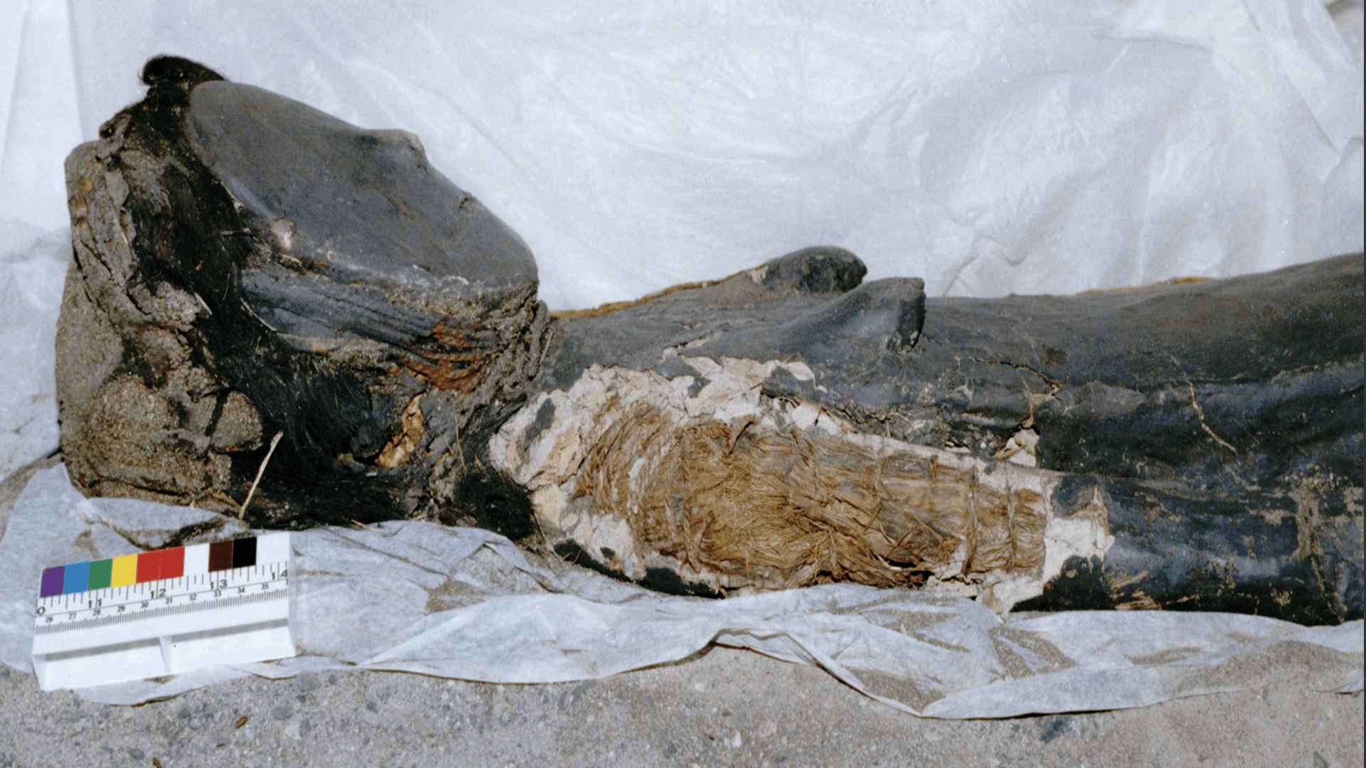 7,000-year-old Chinchorro mummies represent a culture that turned grief into art