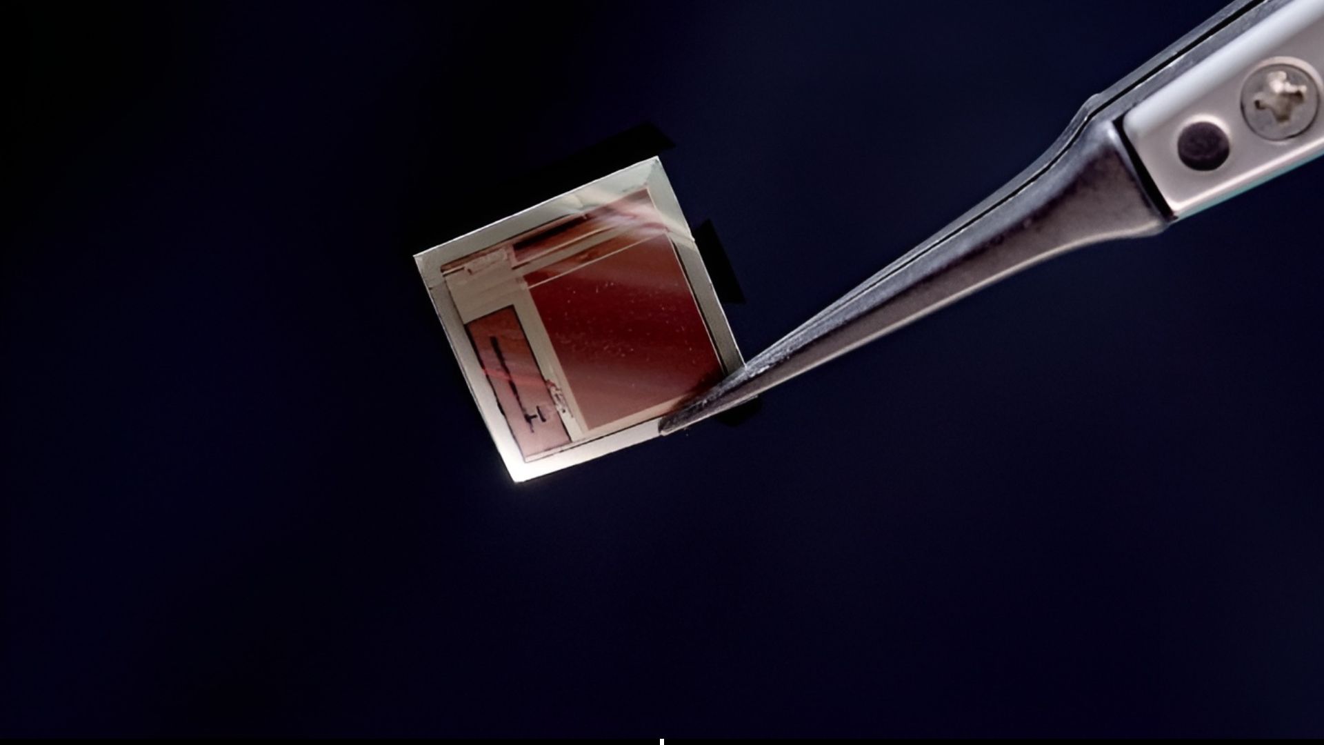 US packs 65,536 electrodes into paper-thin brain chip for real-time neural streaming