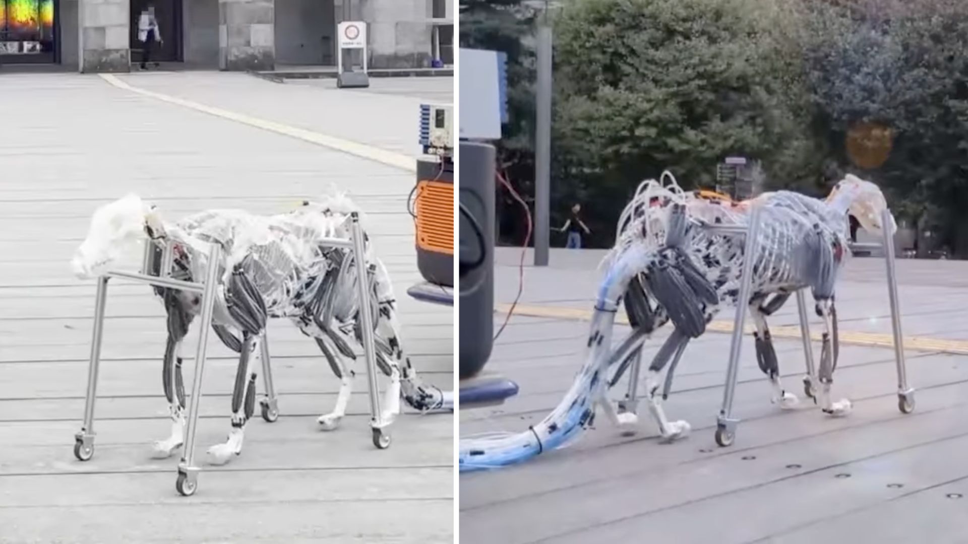 Four-legged robot mimics canine gait using air-powered muscles
