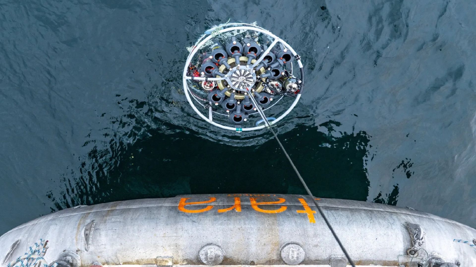 Tiny ocean viruses may boost carbon storage by making bacteria sink faster
