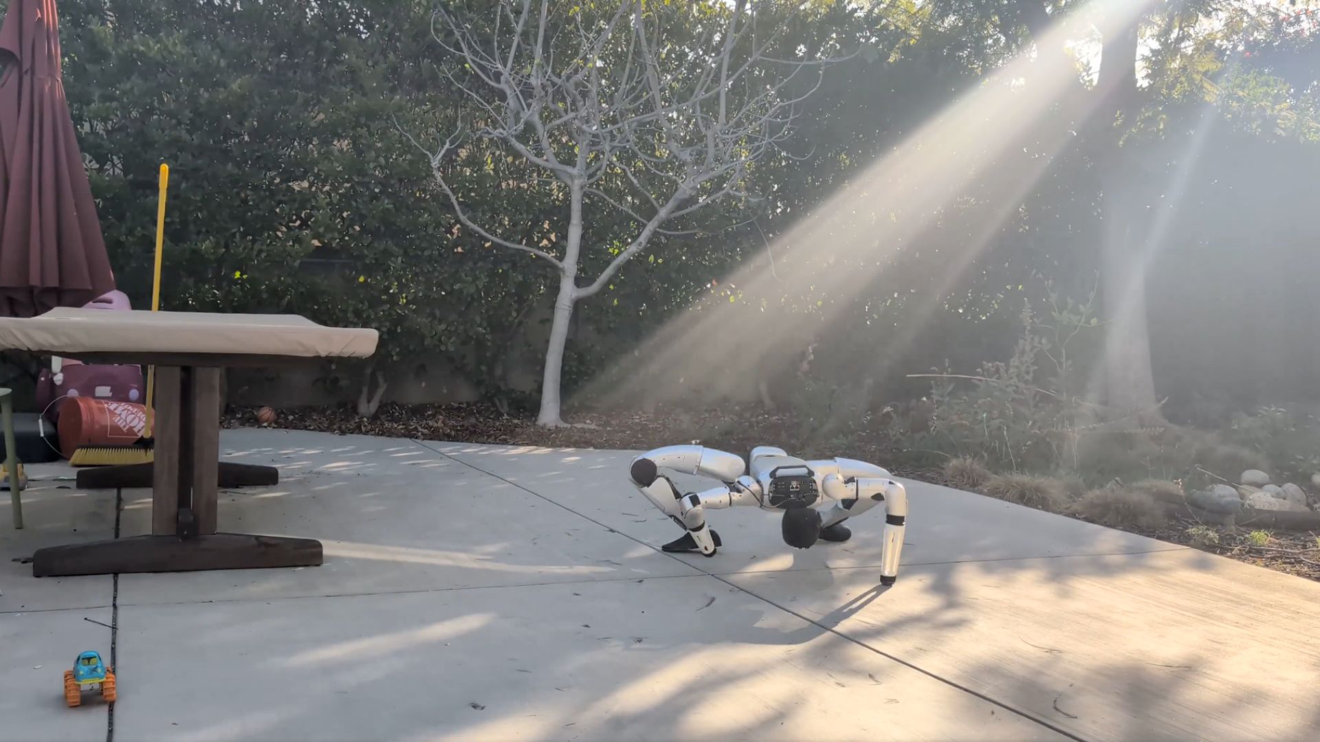 Video: Crawling humanoid robot shocks the internet with its animal-like moves 