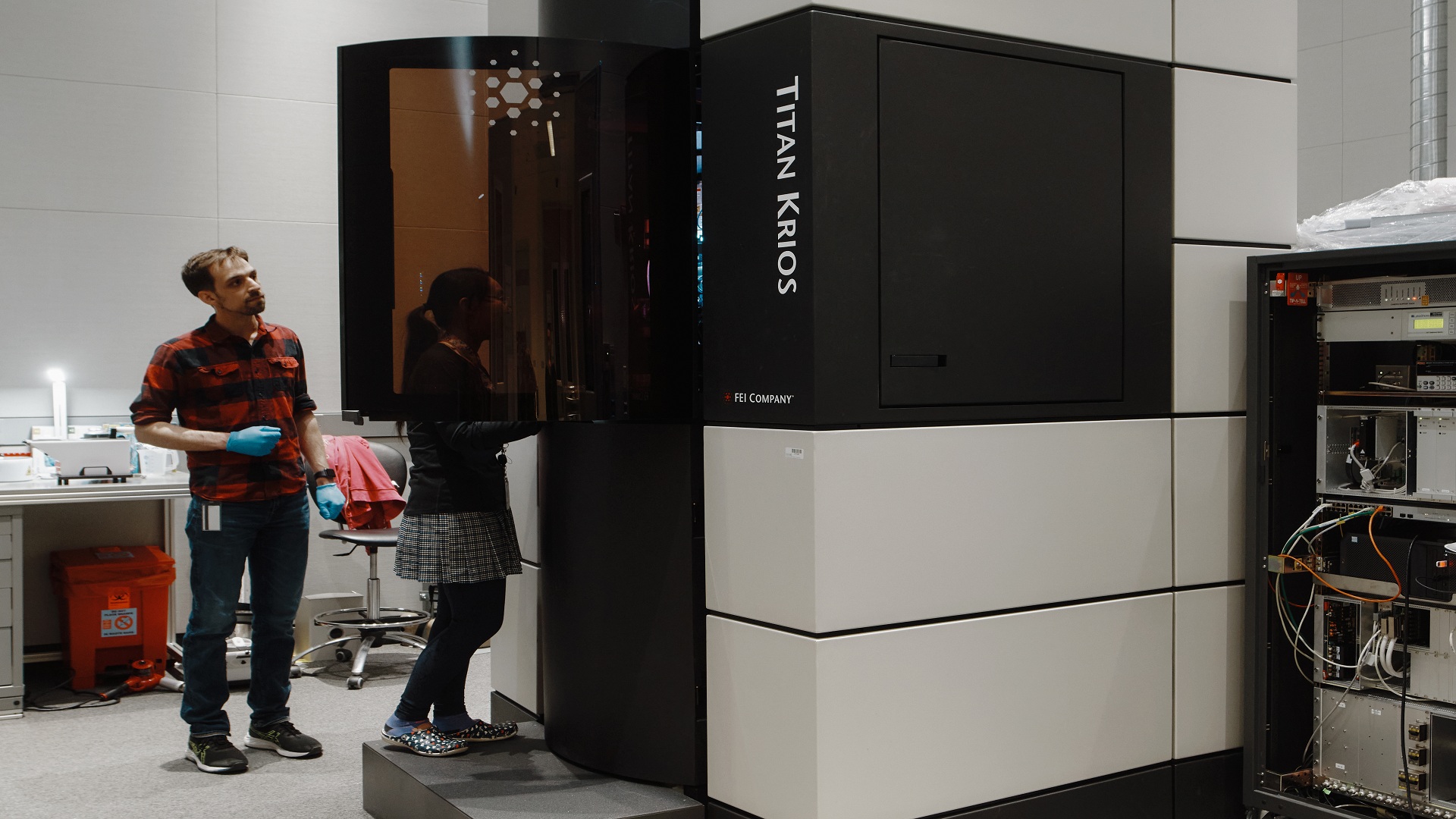 Scientists capture the most detailed 3D views yet of DNA droplets that organize cells