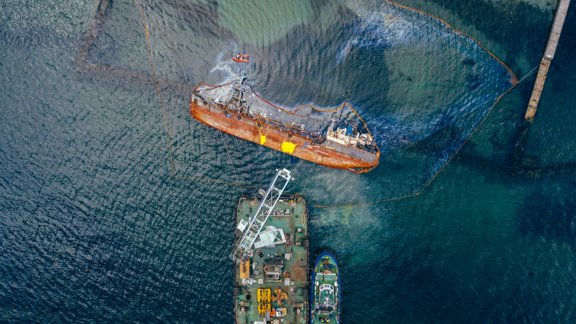 Các nhà khoa học phát hiện loài mới sinh trưởng mạnh mẽ ở độ sâu 13.123 feet dưới mặt nước