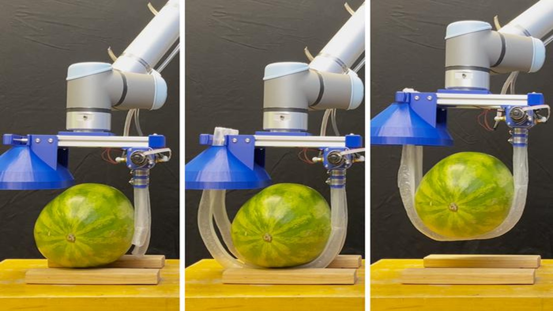 Soft vine robot wraps fragile items, even lifting human bodies safely