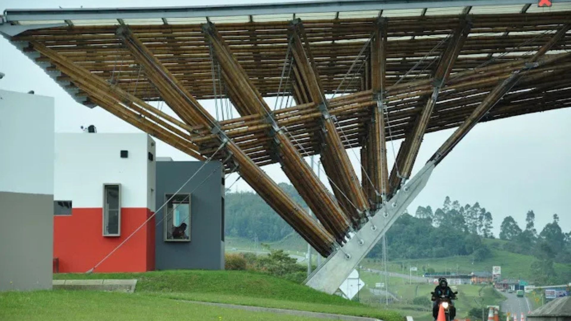 World’s first bamboo structural guide aims to unlock low-carbon buildings worldwide