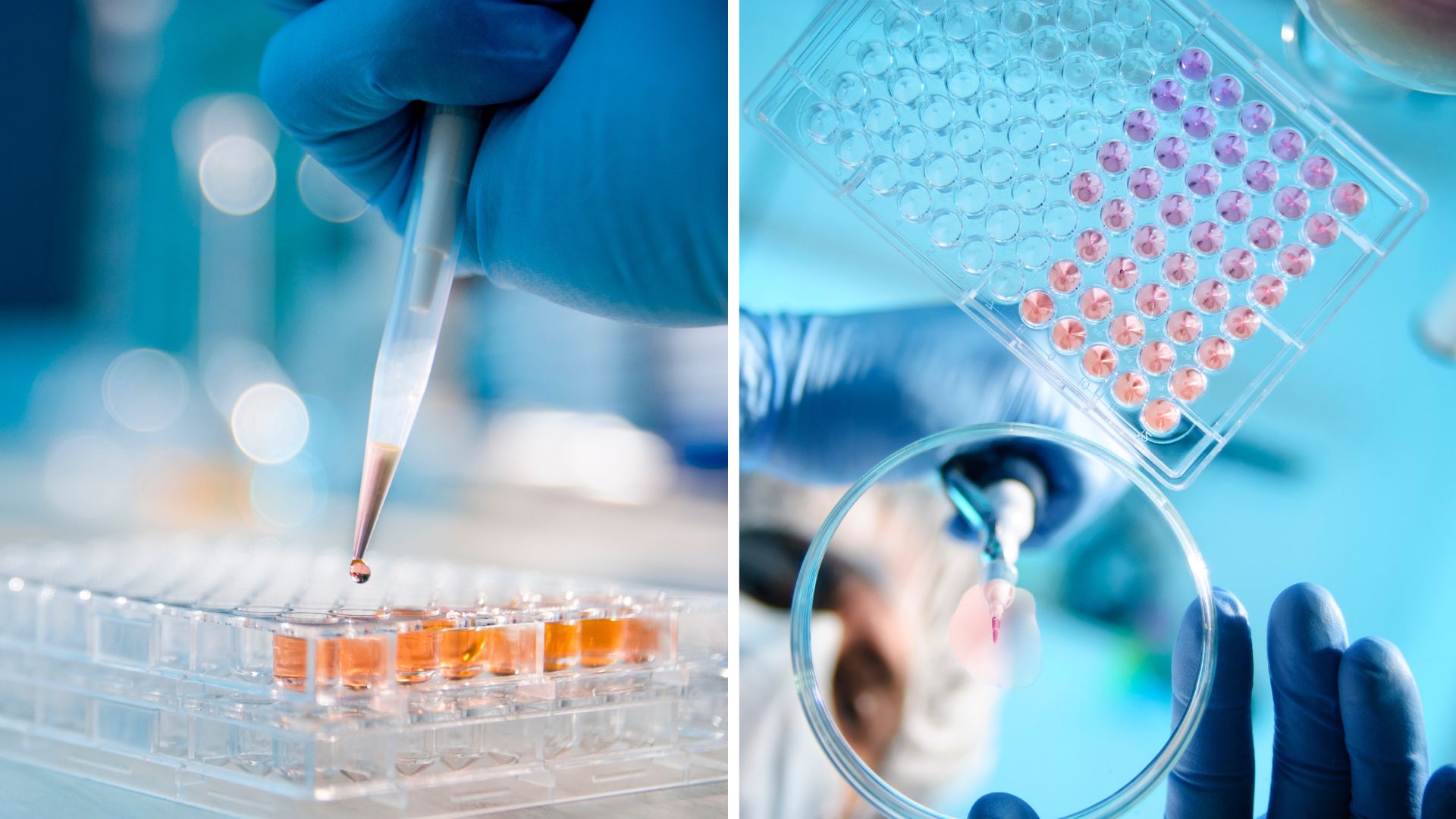 80-year-old chemical puzzle solved: Breakthrough could transform the way medicines are made