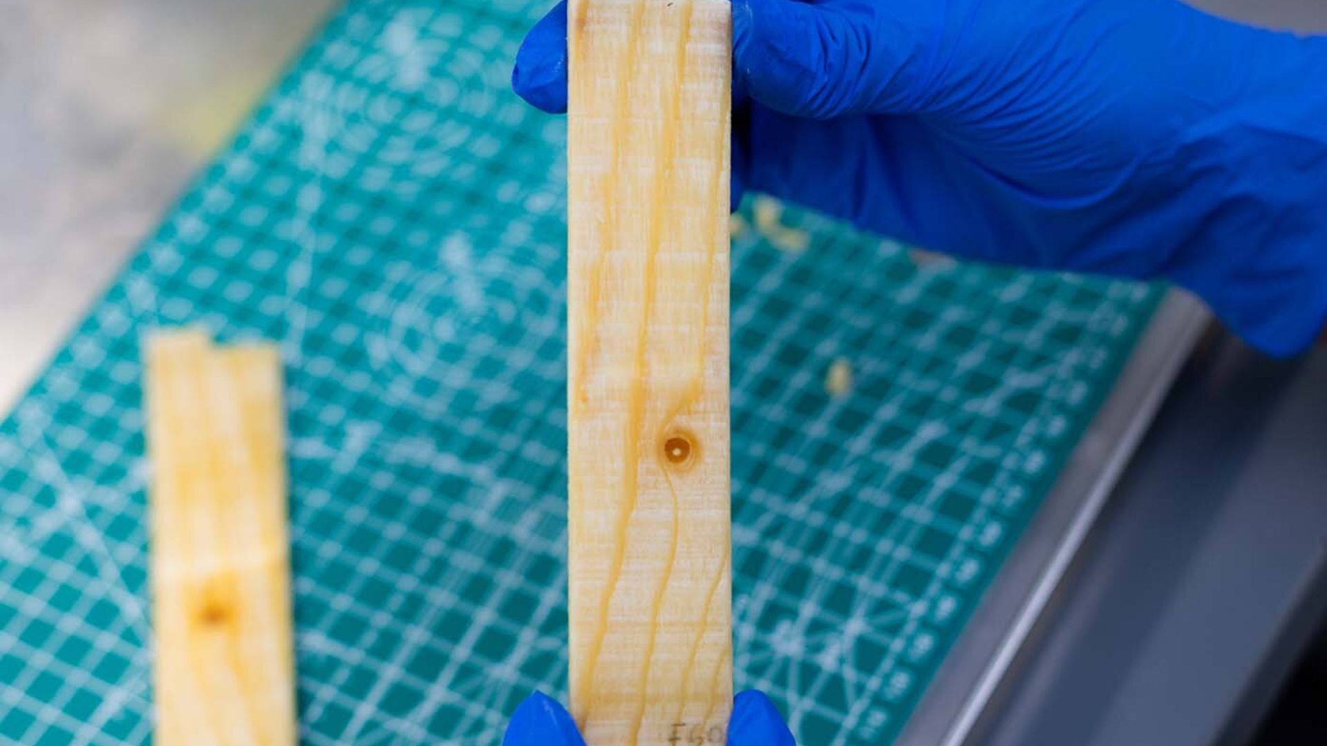 US scientists develop wood-based thermal material for sustainable buildings