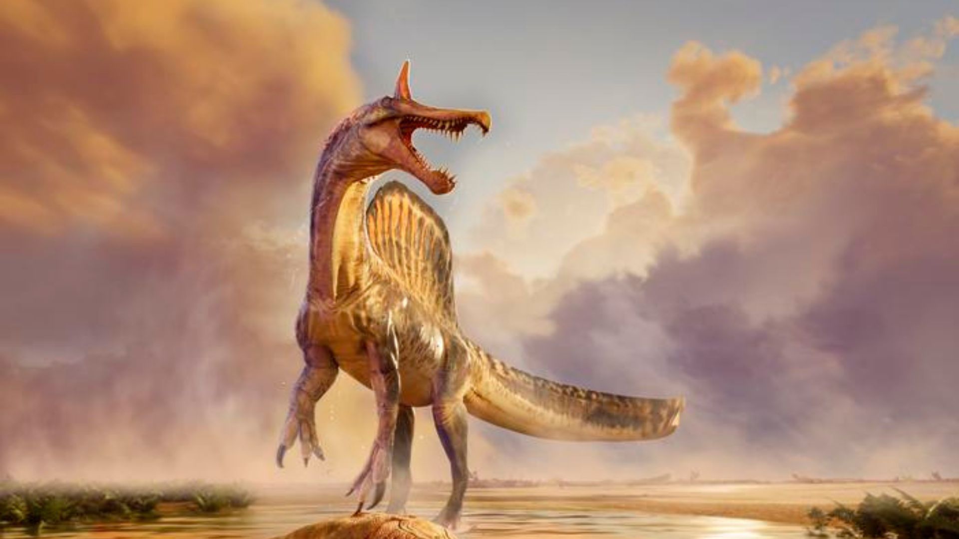 Fossil discovery reveals specialized fish-eating adaptations in new dinosaur species