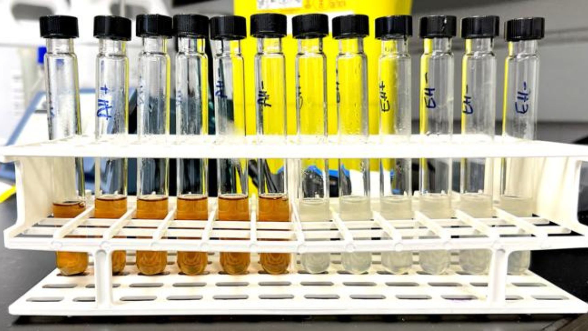 Bánh mì thừa có thể thay thế nhiên liệu hóa thạch bằng hóa học âm carbon