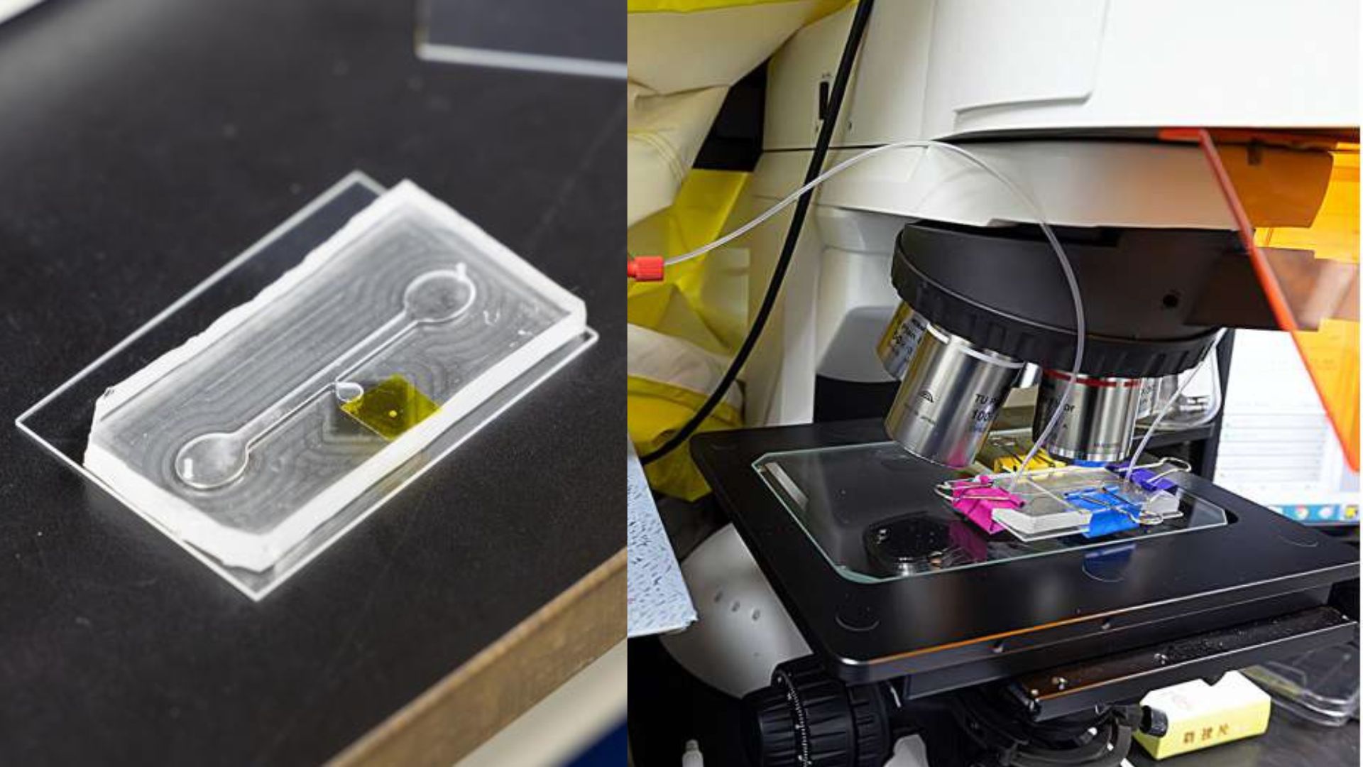 Fastest microfluidics chip pulls PFAS from water in five minutes