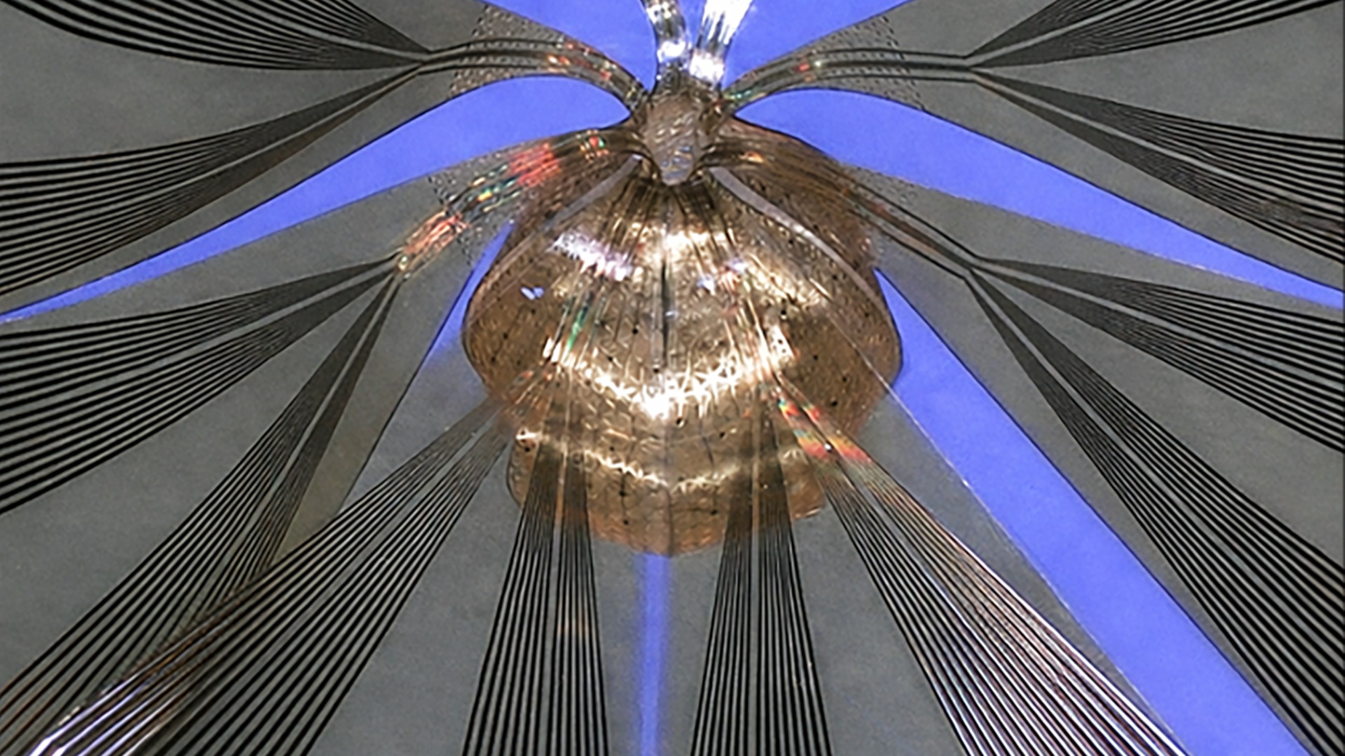 Lưới điện tử sinh học 3D mềm ghi lại 91% mạng lưới thần kinh của não bộ thu nhỏ