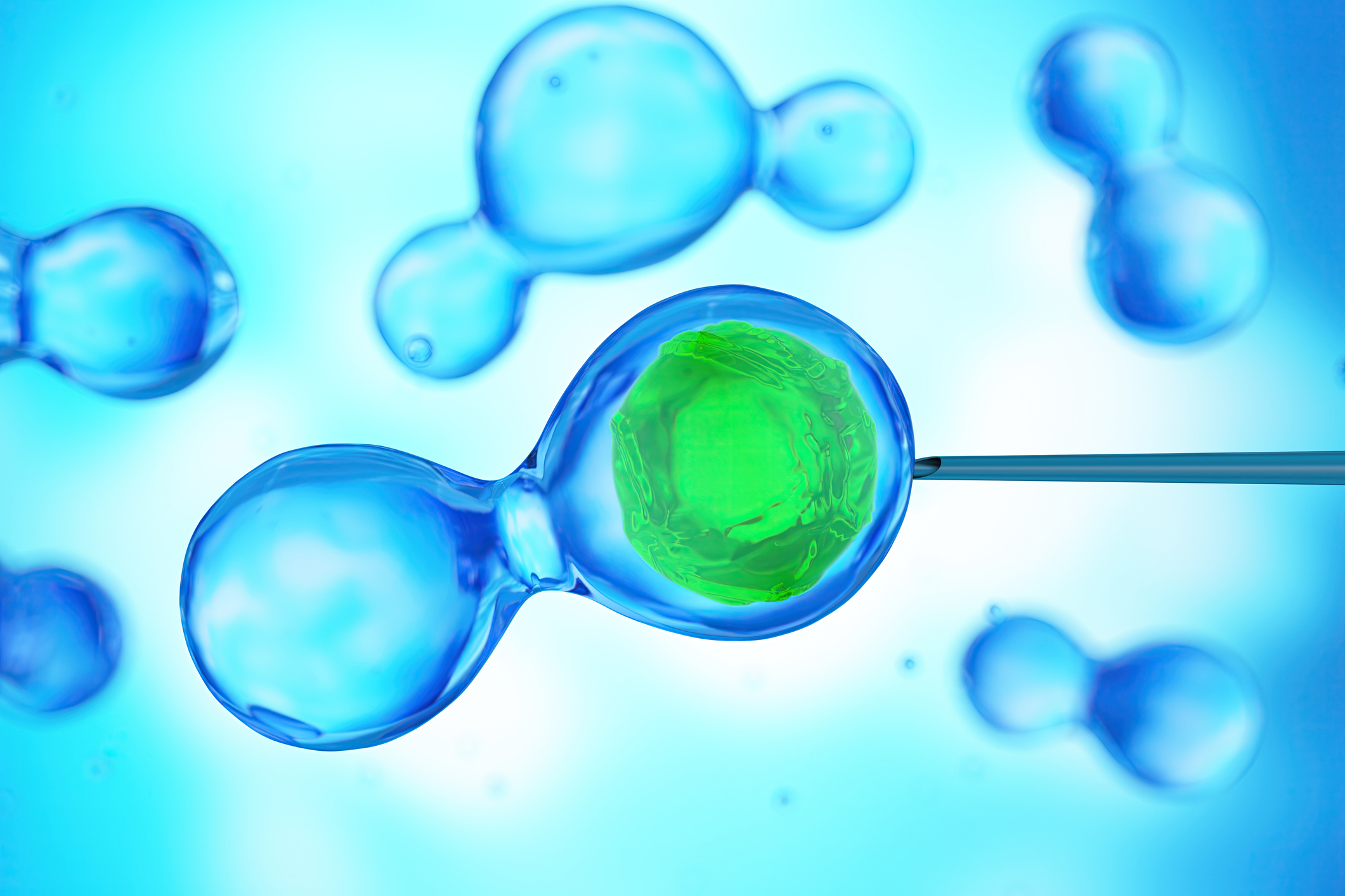 Môi trường nhân tạo đang tái định hình những giai đoạn đầu tiên của sự phát triển con người như thế nào