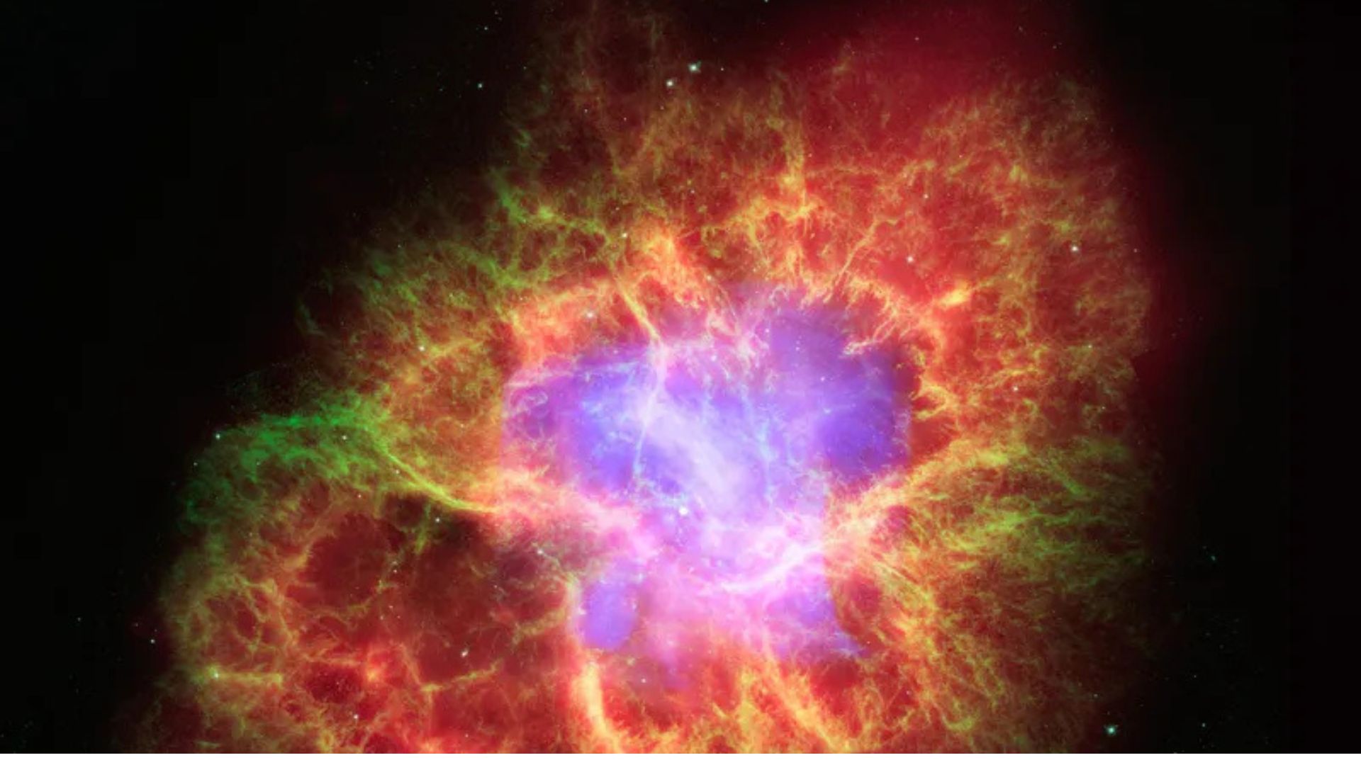 'Surrogate' framework to hunt for exotic matter within neutron stars