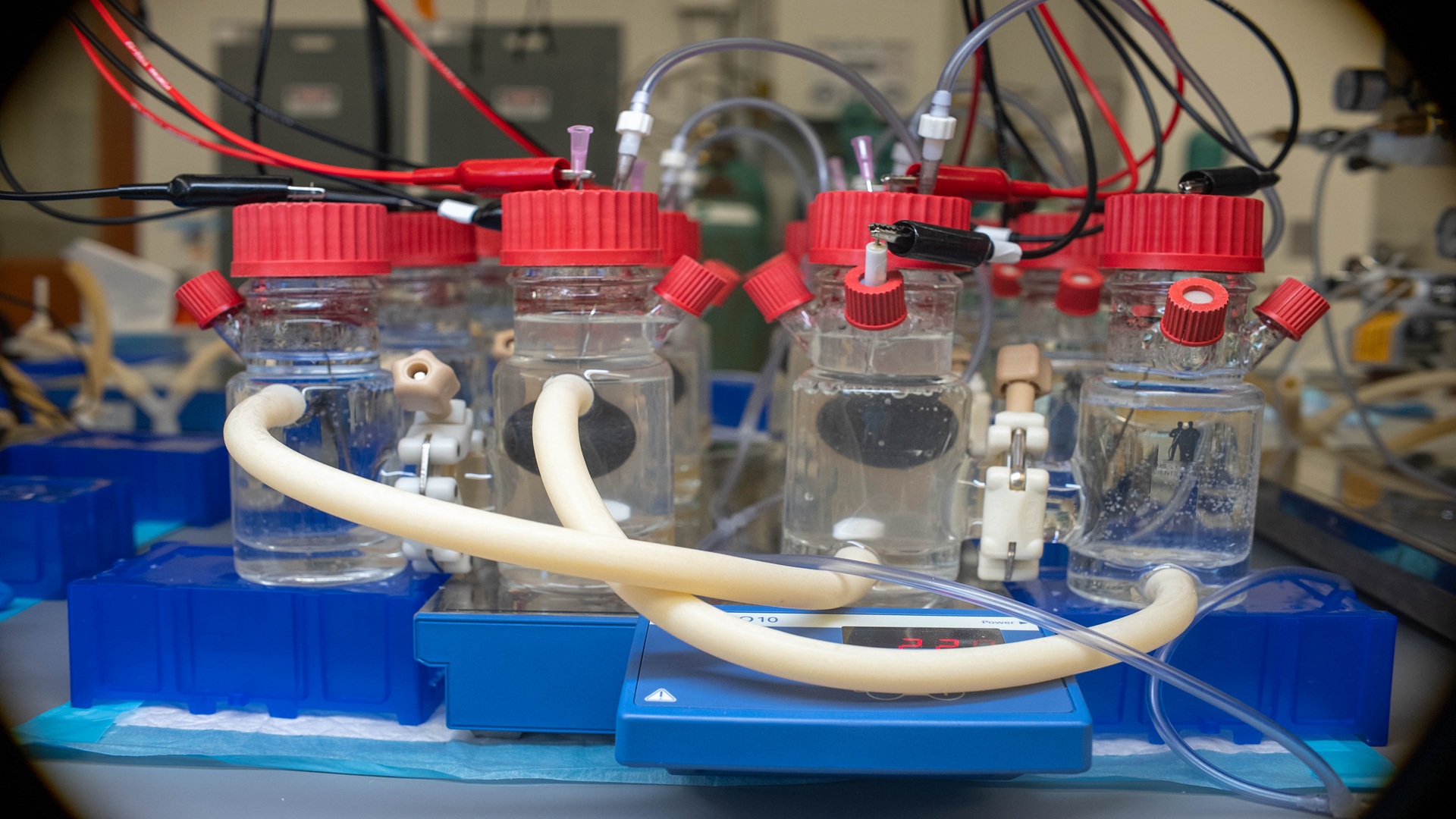 Living Sensors: How Bacteria Are Becoming Nature's Toxin Detectives