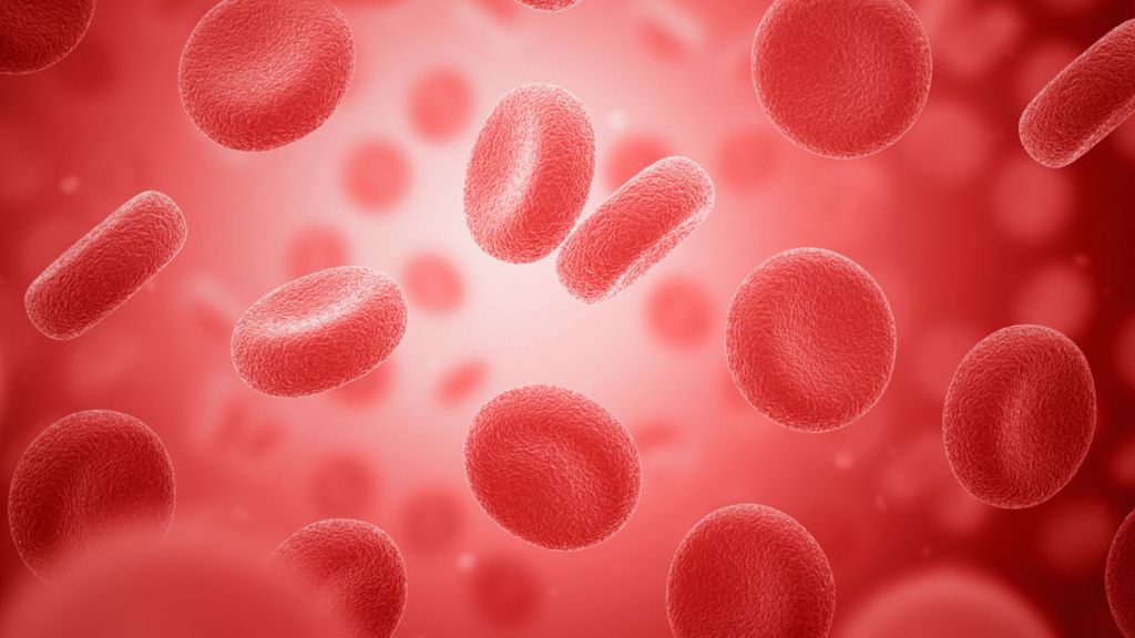 Researchers develop biocompatible quantum nanosensors for living cells