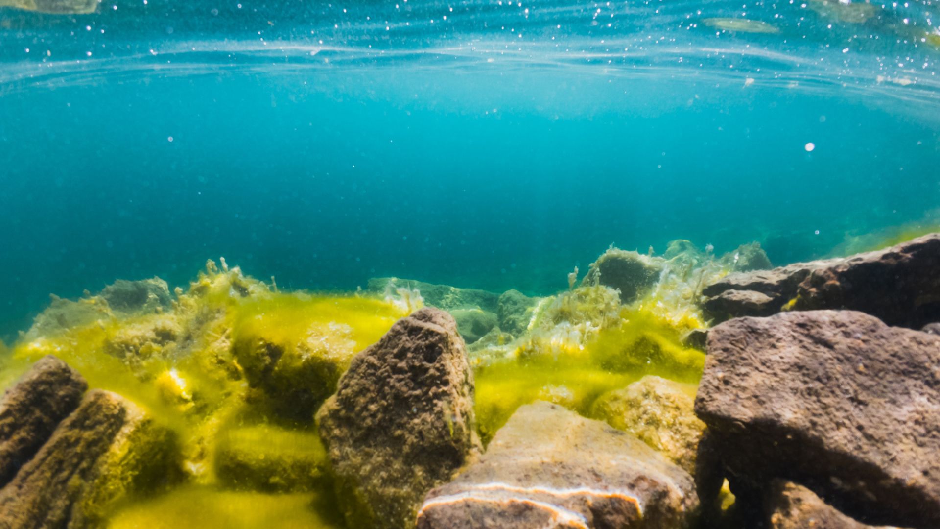 China and Japan race to dominate deep-sea rare earth minerals