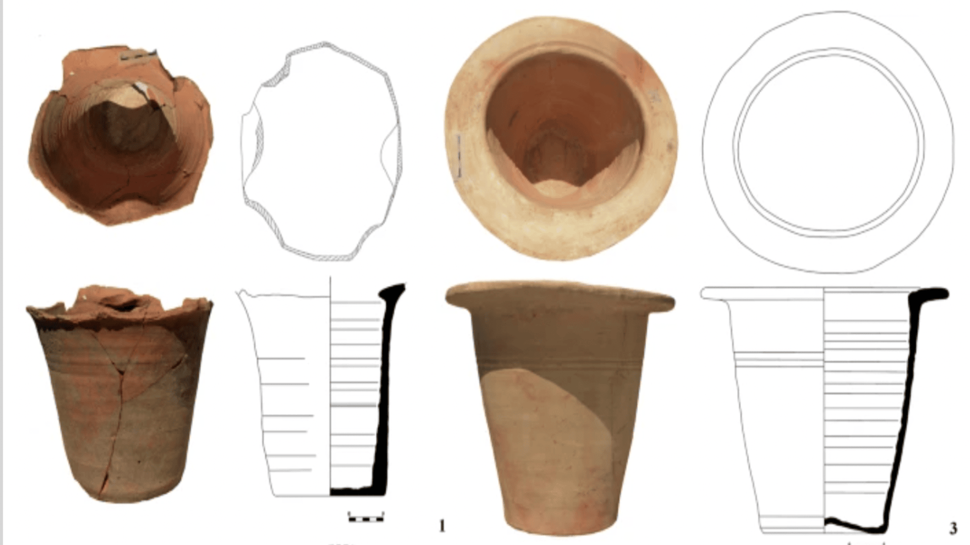 1,800-year-old feces reveal disease and hygiene linked to Roman Empire in Bulgaria