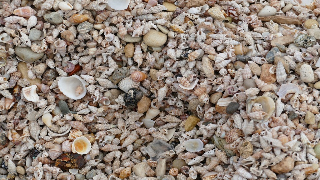 1,200-year-old island found in Fiji is made of edible shellfish remains, study says