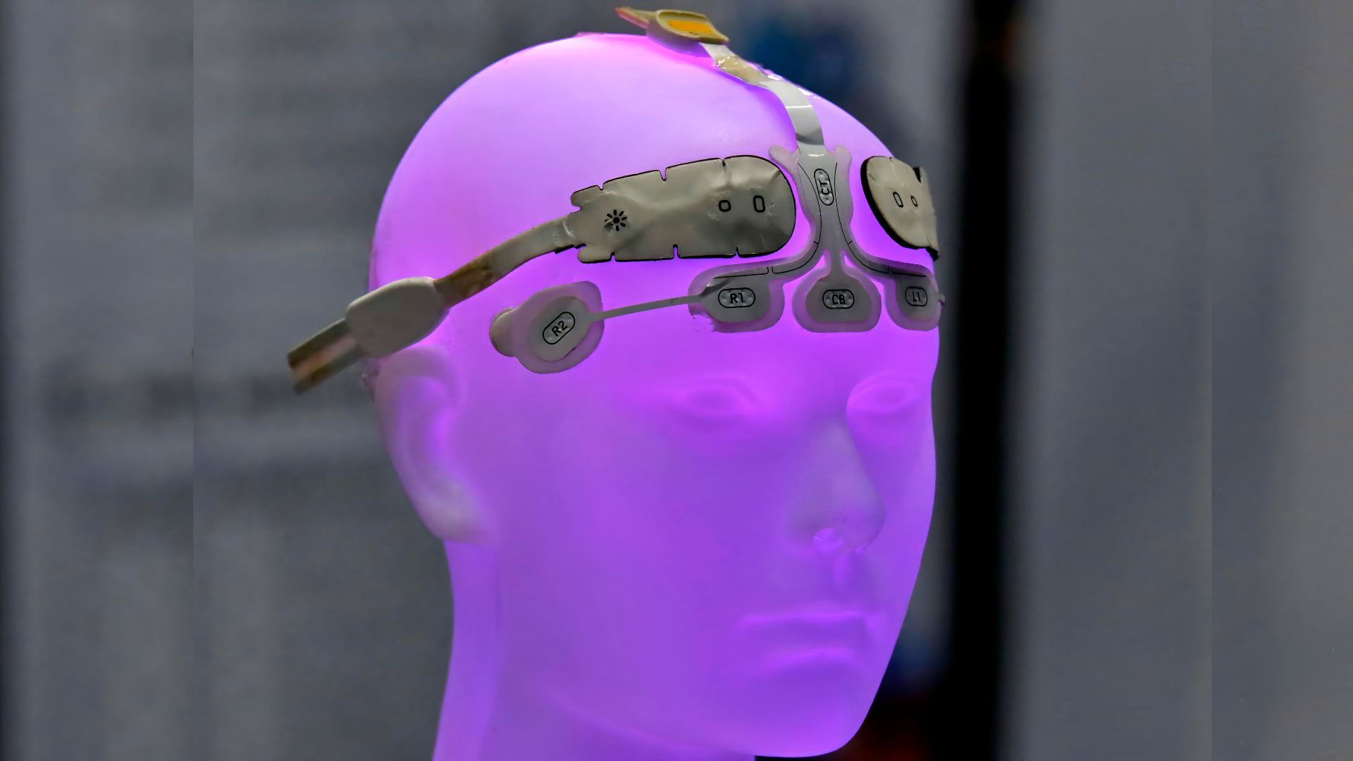 No battery needed: Body heat runs brain monitor in outdoor test