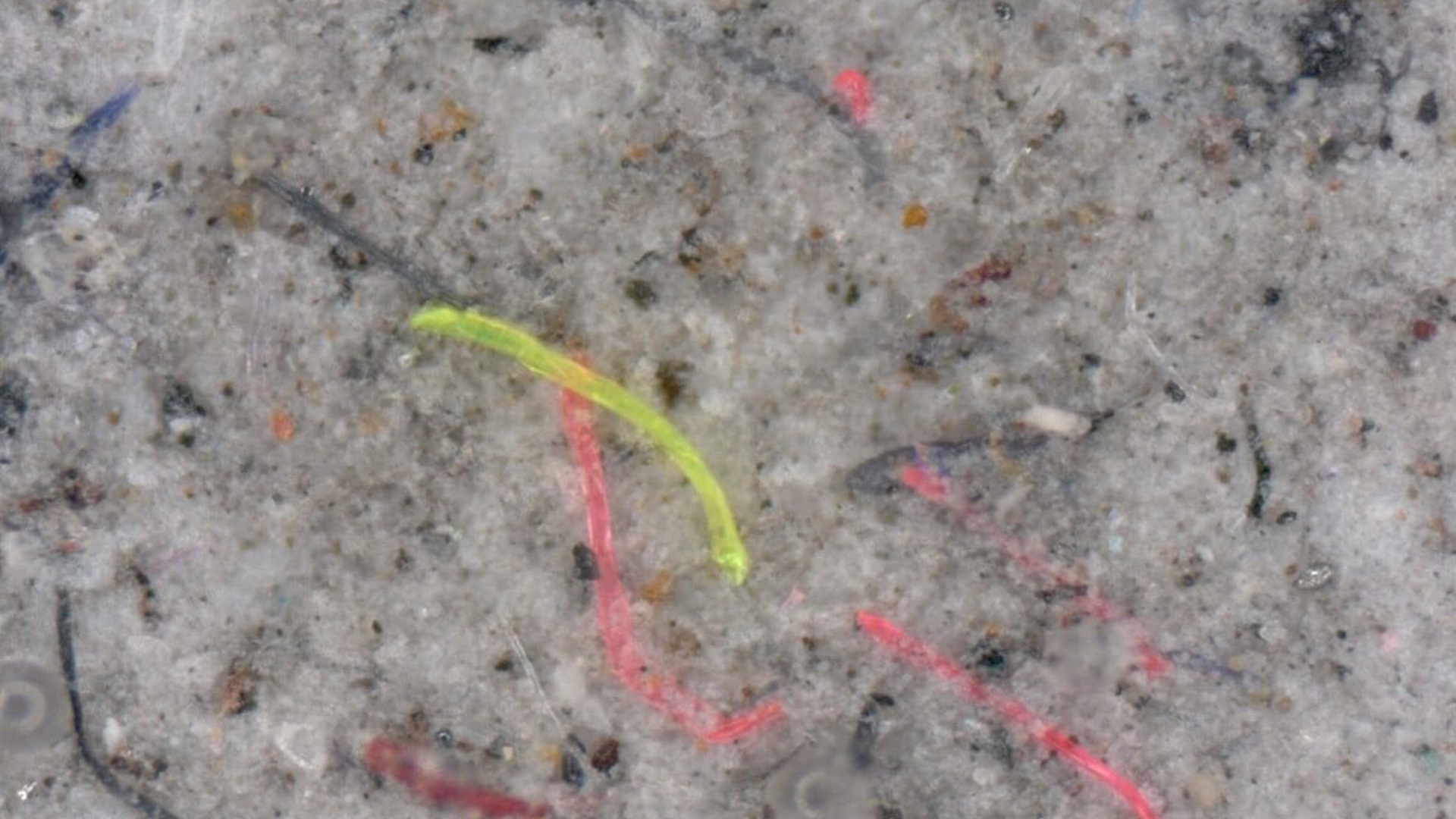 New microplastics filter captures particles as small as 1.5 microns