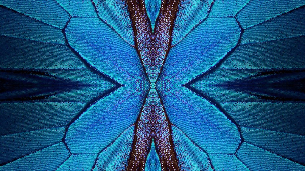 Butterfly-wing lattice to make planes stronger and buildings safer during earthquakes