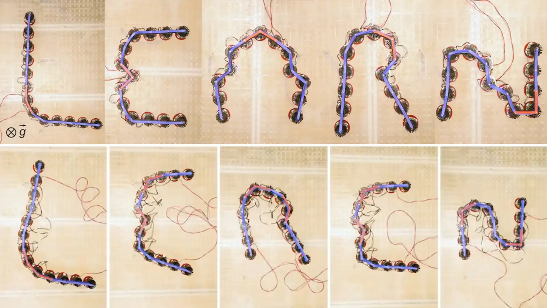 New metamaterials learn shapes and move without central control