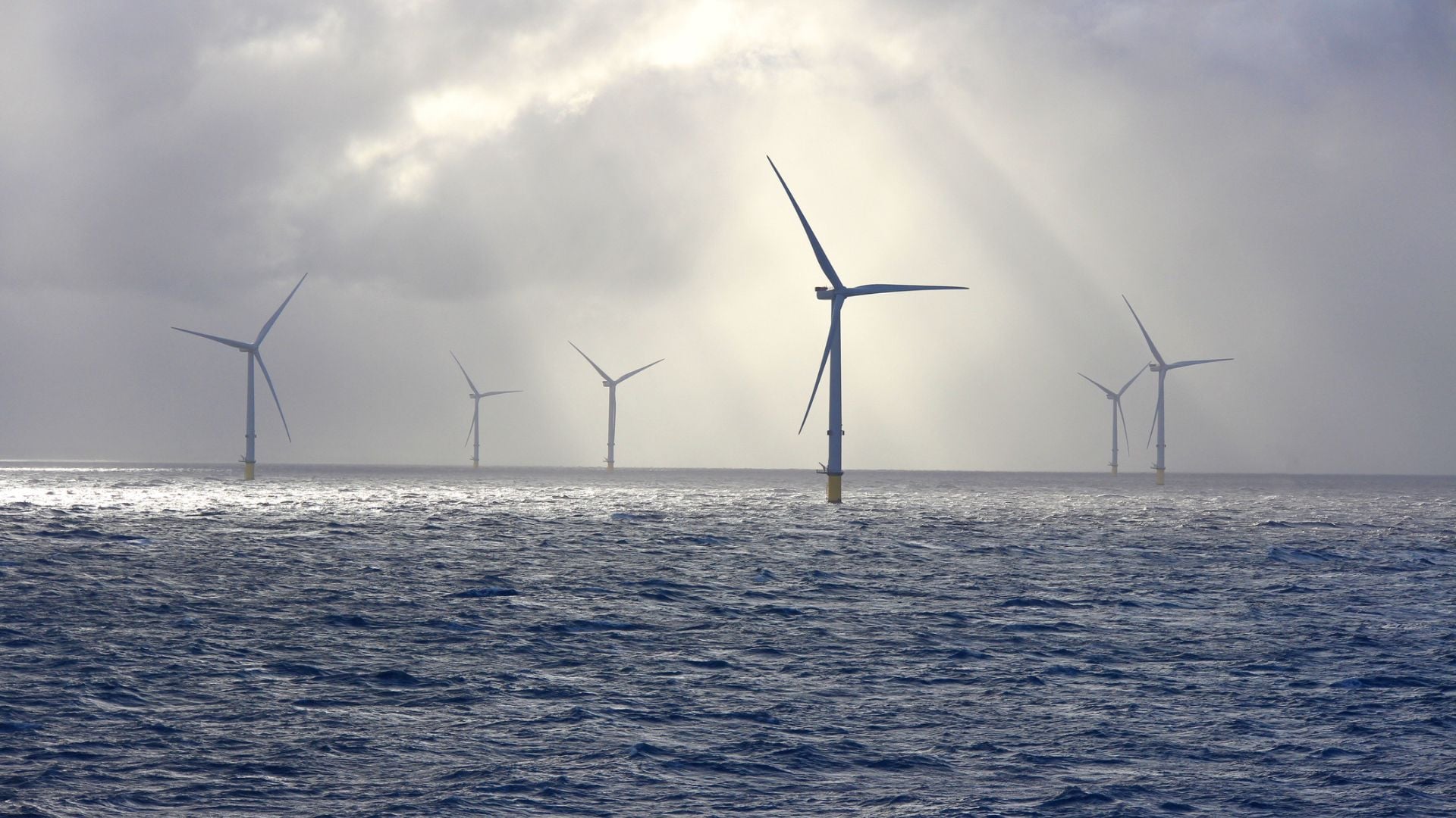 World’s largest: Japan plans 1 GW floating offshore wind farm to power Tokyo