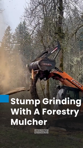 Tracked Tree Felling Machine