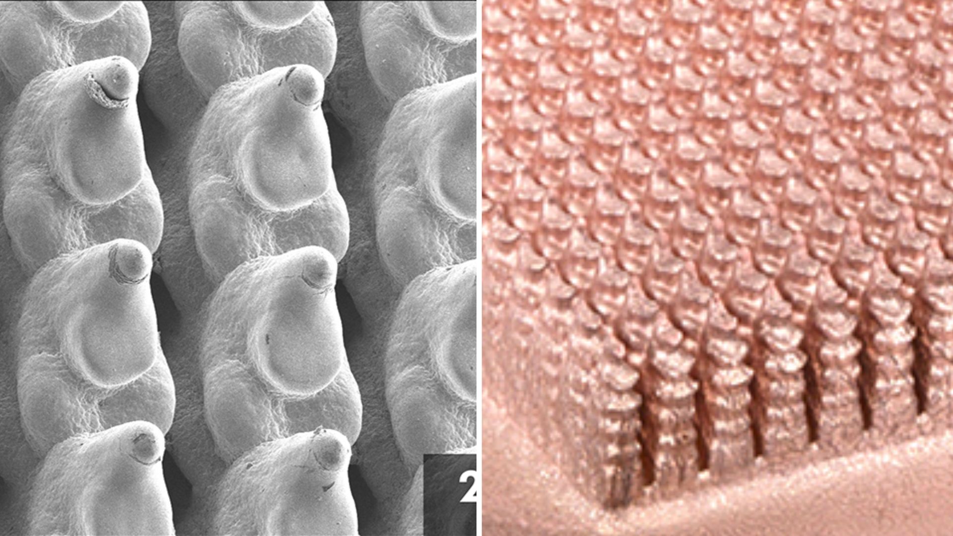 3D-printed copper cuts data center cooling energy by 97%