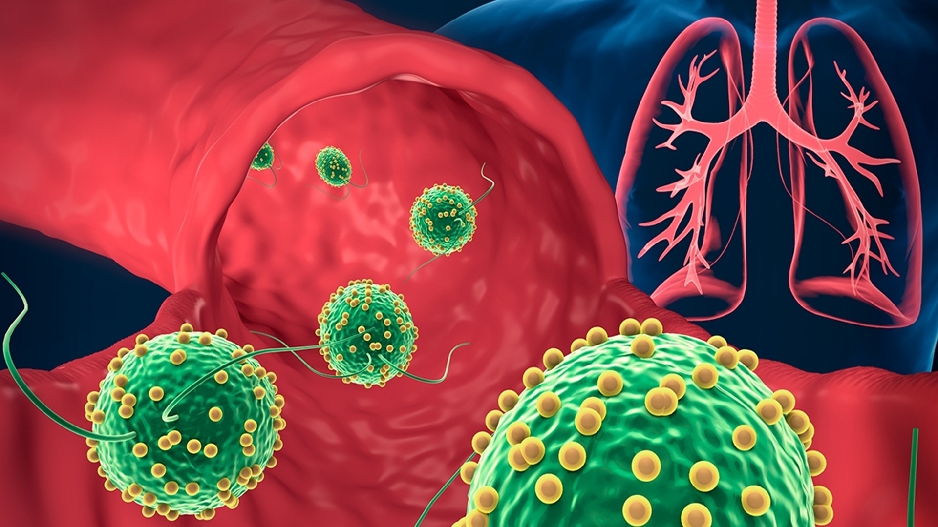 Living microrobot swarms reshape on command for wound treatment
