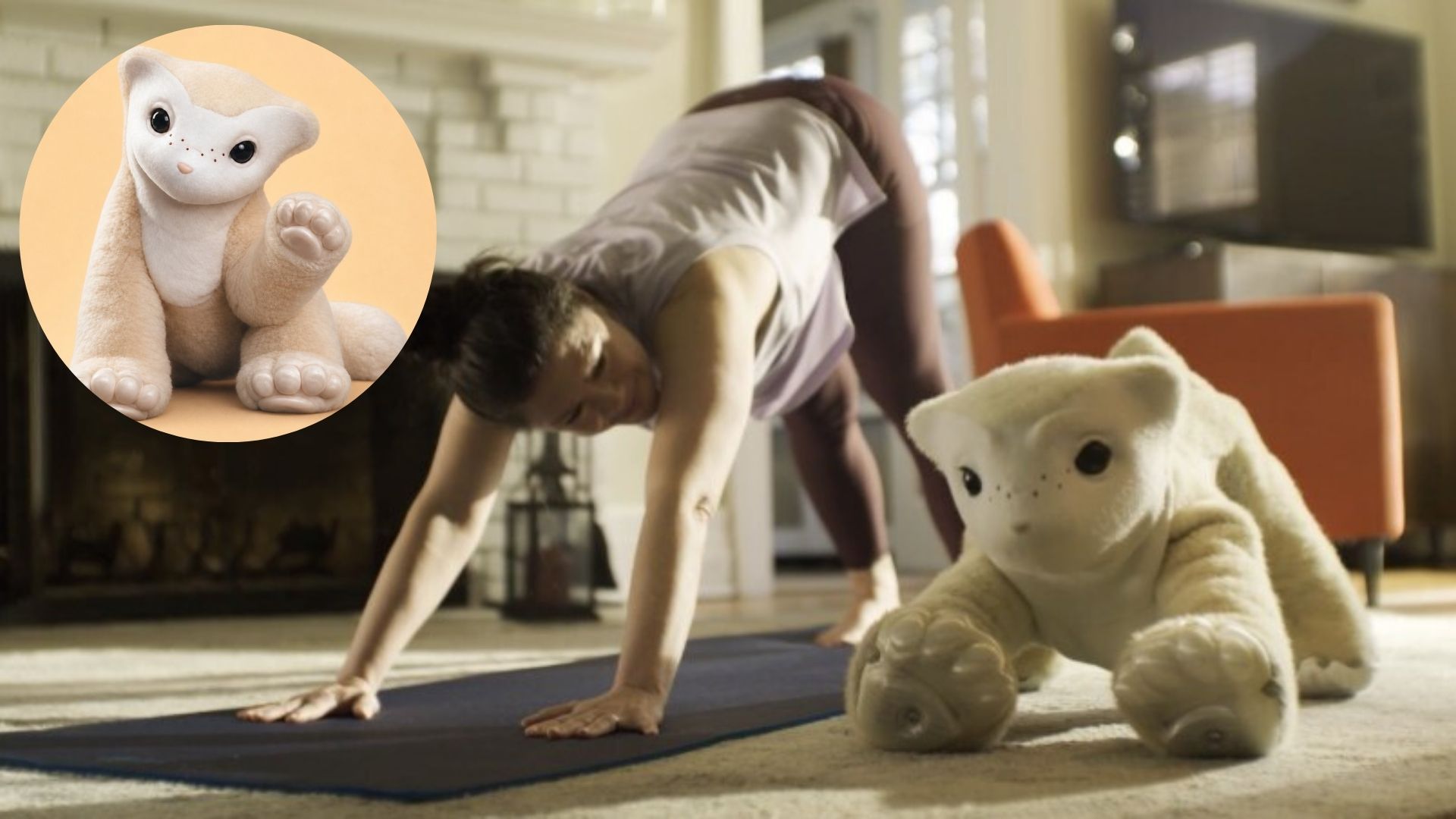 New pet robot uses local multimodal AI to learn and adapt to human behavior
