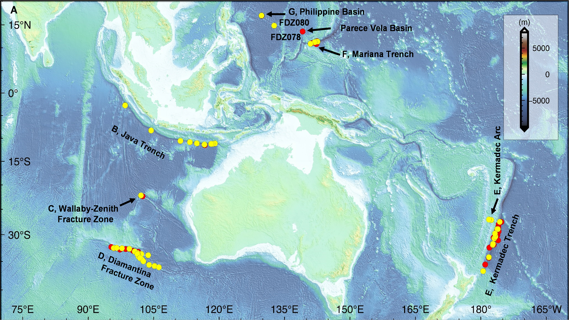 Chinese scientists discover 32 species living 5.6 miles beneath Pacific Ocean