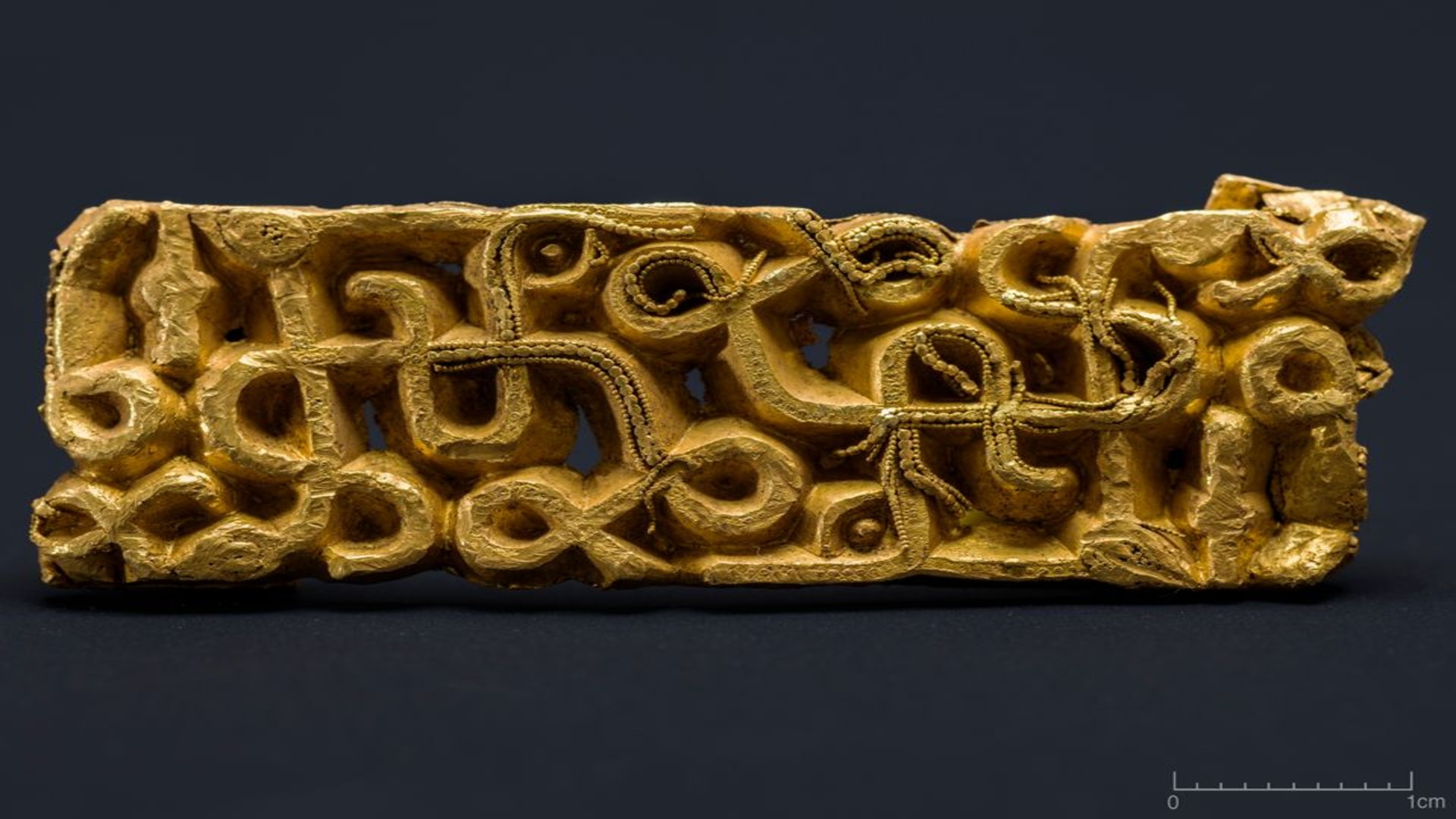 Rare 1,500-year-old warrior sword scabbard found under a fallen tree in Norway
