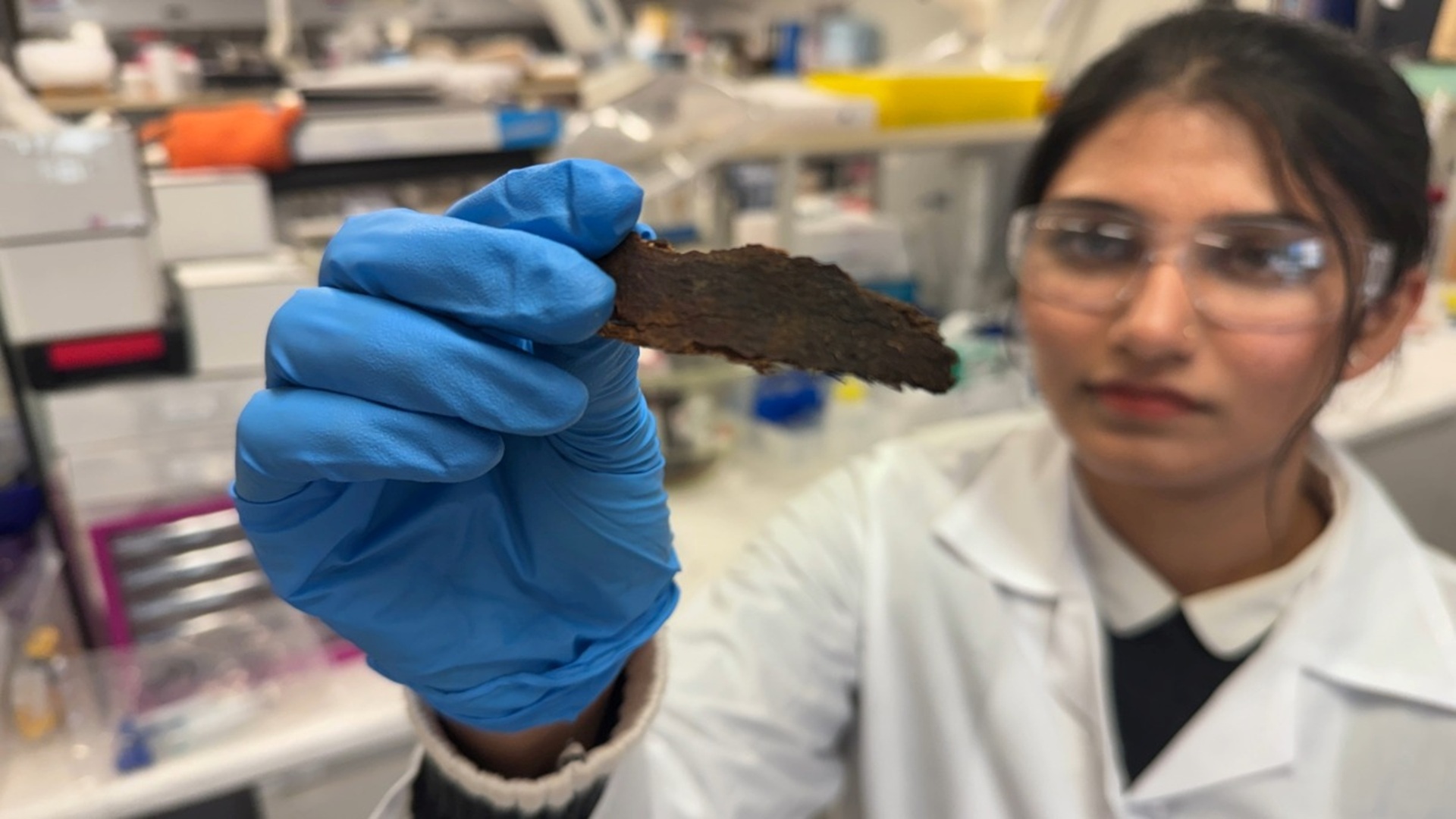 Eucalyptus bark waste finds new life as carbon filter for water and air cleaning