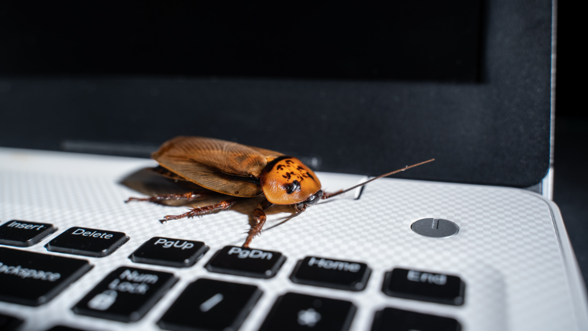 University of Osaka develops bio-hybrid cyborg insect controller