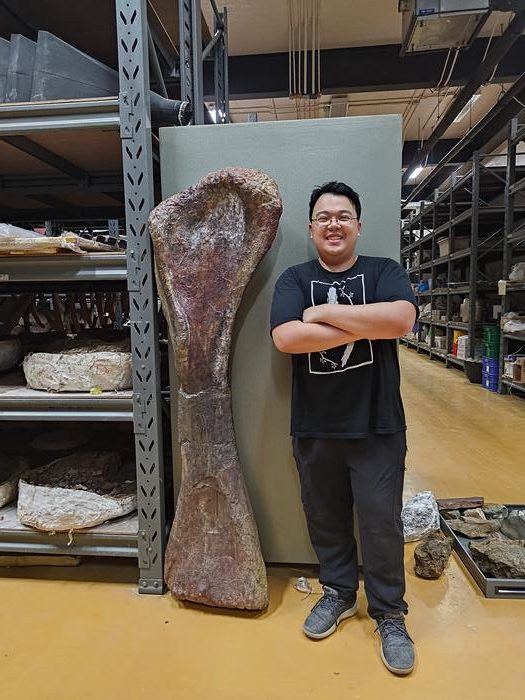 ‘Last Titan’: 120 million-year-old remains of massive long-necked dinosaur discovered