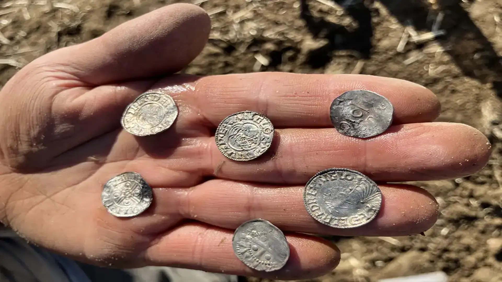 Archäologen entdecken in Norwegen den größten Münzfund aller Zeiten