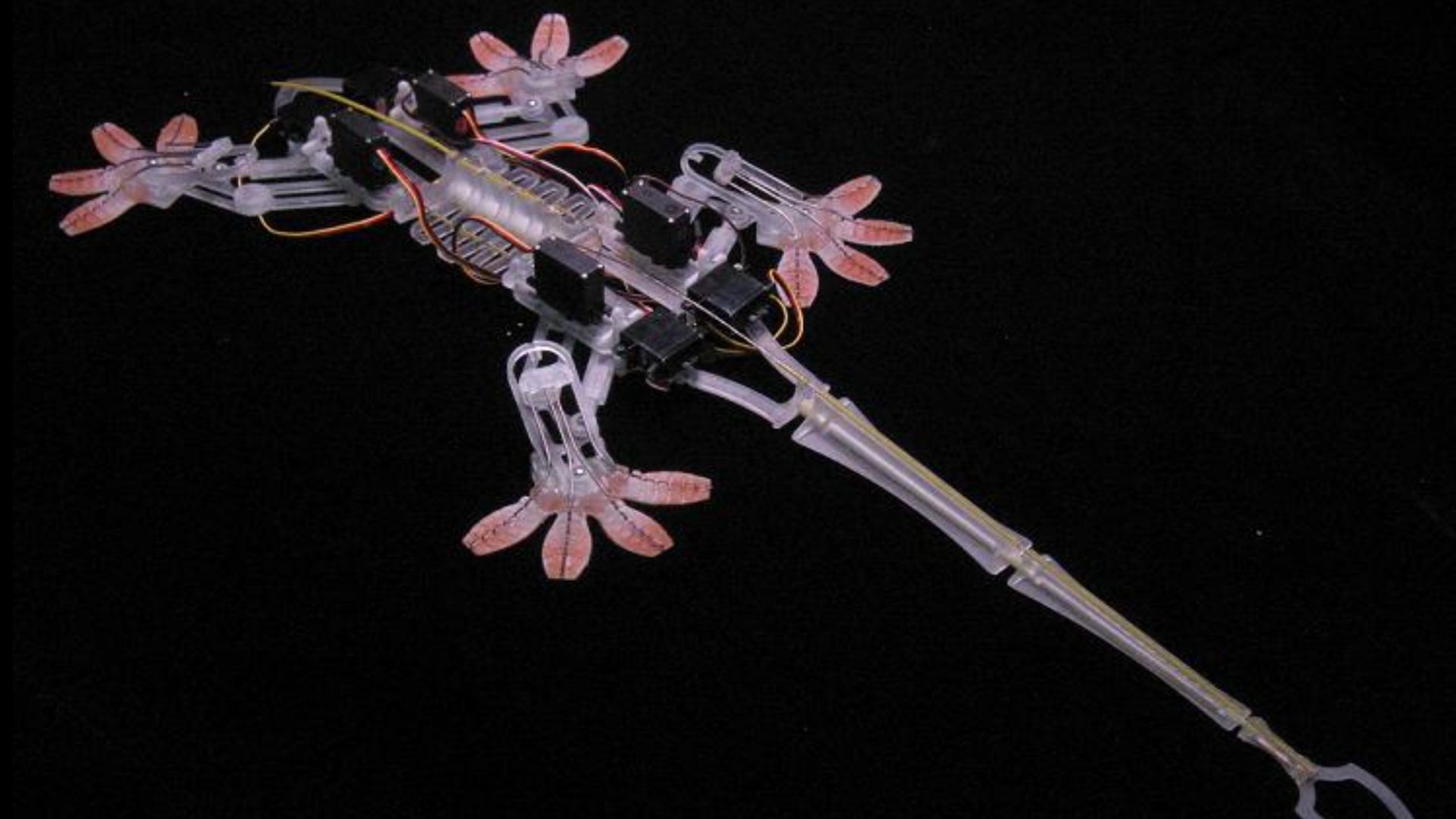 7 animal-inspired robots solving real-world engineering challenges