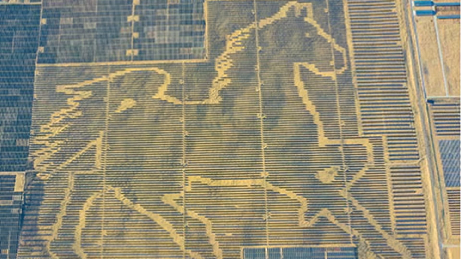 China's Guinness Record-holding solar horse stretches 250 miles across desert sands